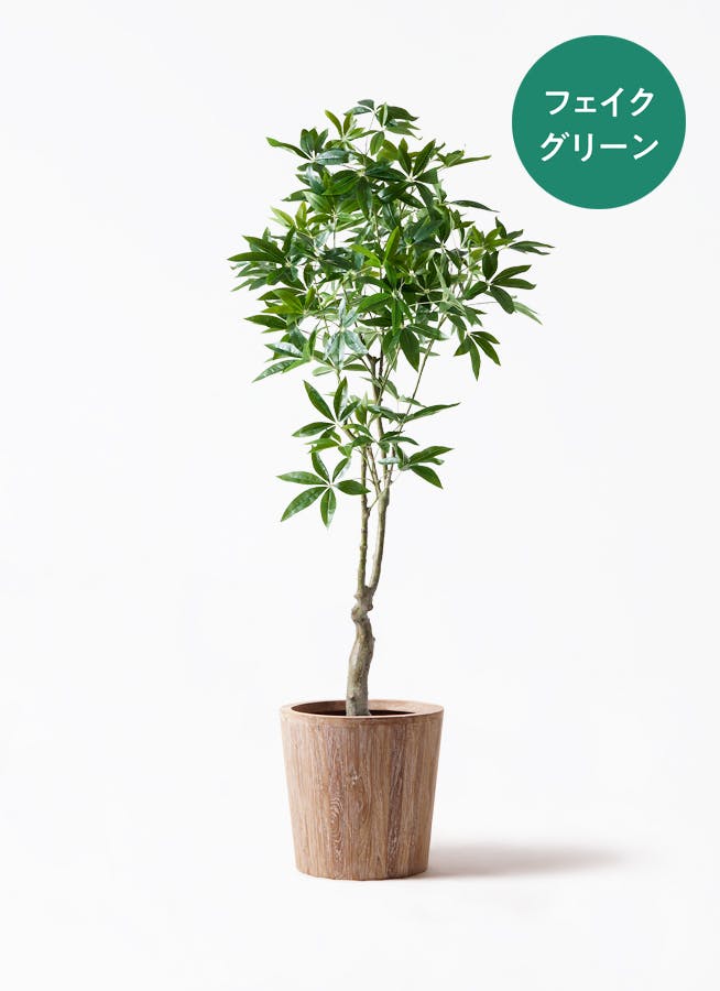 フェイクグリーン パキラ | 観葉植物の通販ならHitoHana（ひとはな）