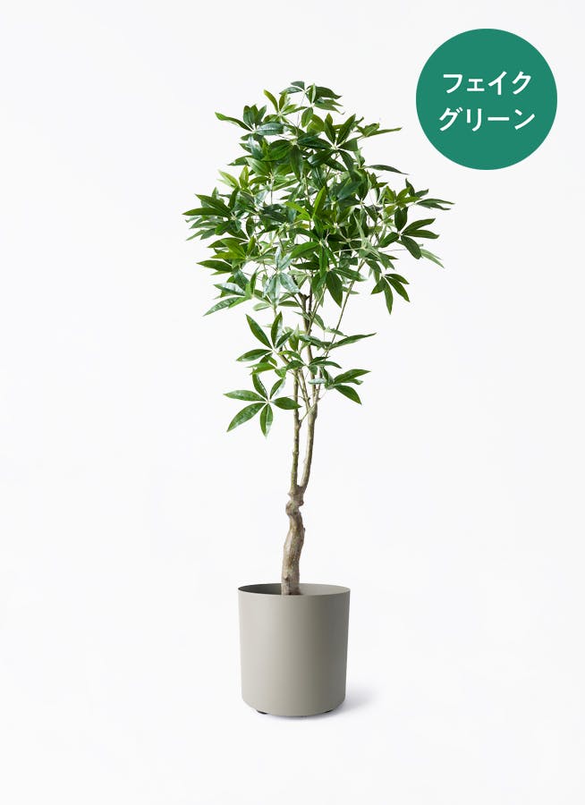 フェイクグリーン 大型（180cm～） | 観葉植物の通販ならHitoHana