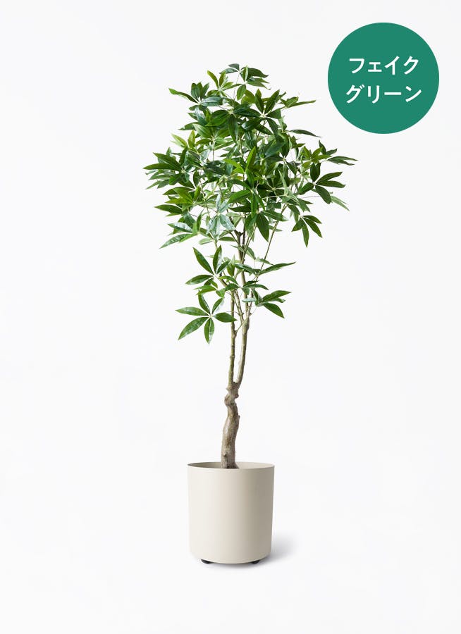 フェイクグリーン パキラ | 通販専門店 HitoHana（ひとはな）