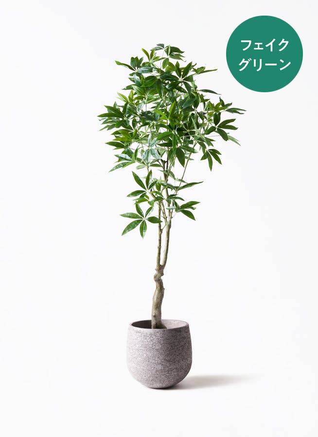 定価6万 フェイクグリーン パキラ 人工観葉植物 約180cm 大型 パキラ