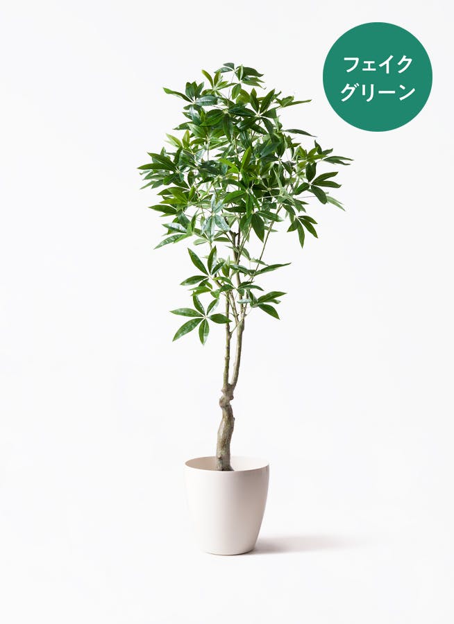 フェイクグリーン パキラ | 観葉植物の通販ならHitoHana（ひとはな）