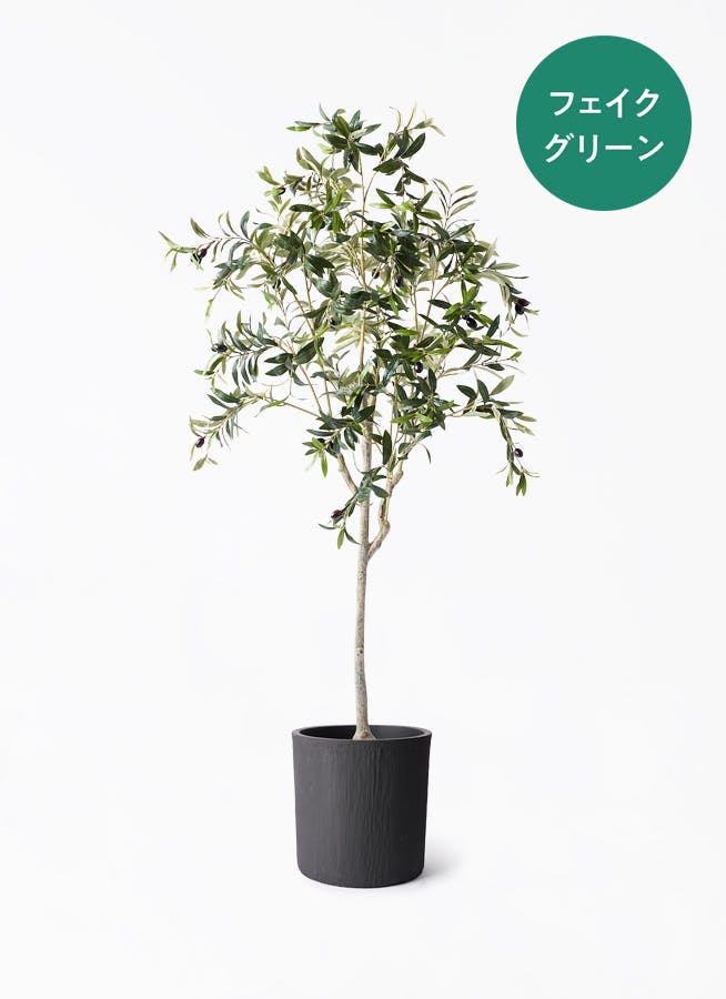 人工観葉植物 約150cm フェイクグリーン 高さ150-180cm | プレミアム光触媒フェイクグリーン 造花ドットコム