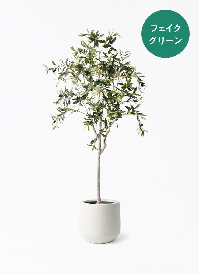 フェイクグリーン 150cm～ | 通販専門店 HitoHana（ひとはな）