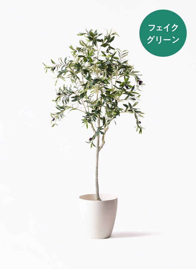 フェイクグリーン（造花） | 観葉植物の通販ならHitoHana（ひとはな）