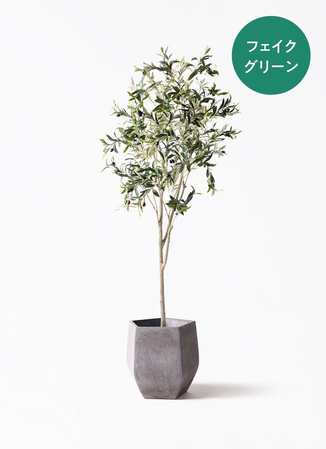 観葉植物【フェイクグリーン】オリーブ 実付き 180cm ファイバークレイ