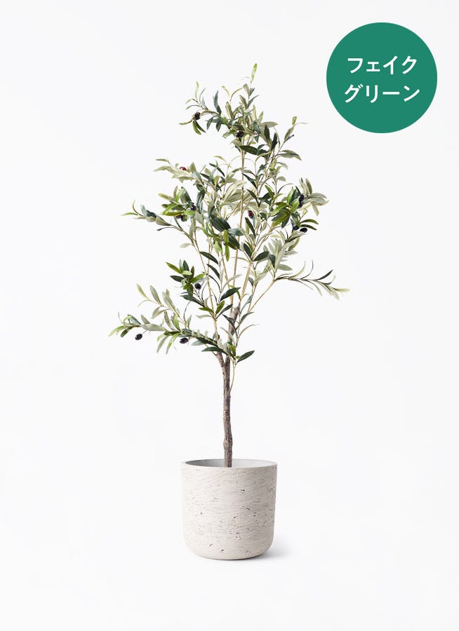 観葉植物【フェイクグリーン】フィカス（ゴムの木） 90cm カッセル