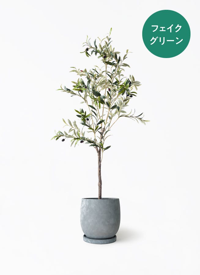 フェイクグリーン | 通販専門店 HitoHana（ひとはな）
