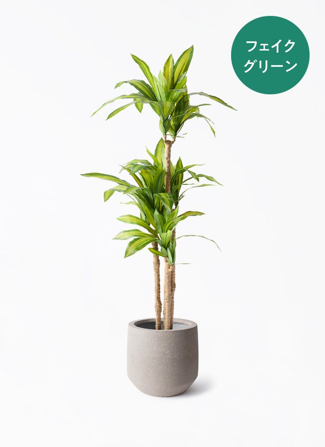 フェイクグリーン ドラセナ 幸福の木 | 通販専門店 HitoHana（ひとはな）