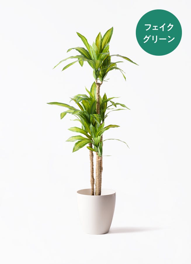 フェイクグリーン 150cm | 観葉植物の通販ならHitoHana（ひとはな）