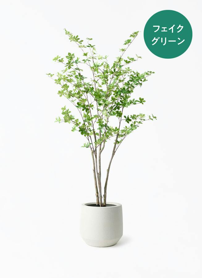 観葉植物【フェイクグリーン】ドウダンツツジ 155cm パボ ミドル オフ