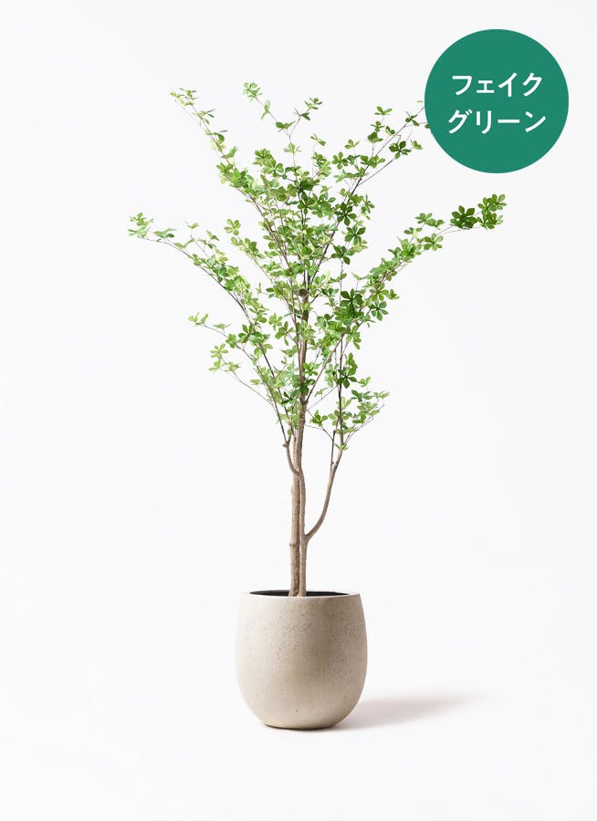 フェイクグリーン ドウダンツツジ | 観葉植物の通販ならHitoHana（ひと