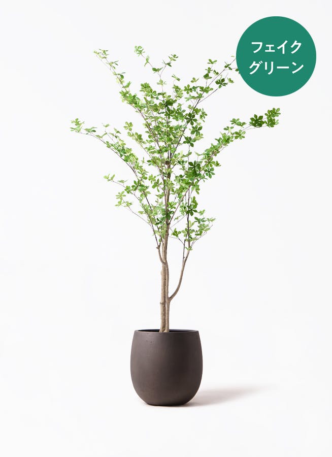 フェイクグリーン ドウダンツツジ | 観葉植物の通販ならHitoHana（ひと