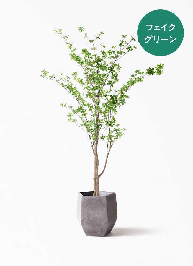 フェイクグリーン ドウダンツツジ | 観葉植物の通販ならHitoHana（ひと