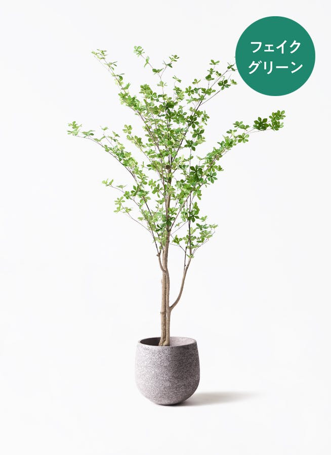 観葉植物【フェイクグリーン】ドウダンツツジ 190cm Eco Stone (エコ