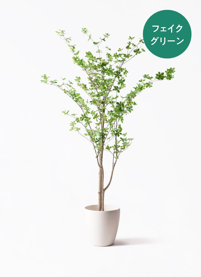 フェイクグリーン ドウダンツツジ | 観葉植物の通販ならHitoHana（ひと