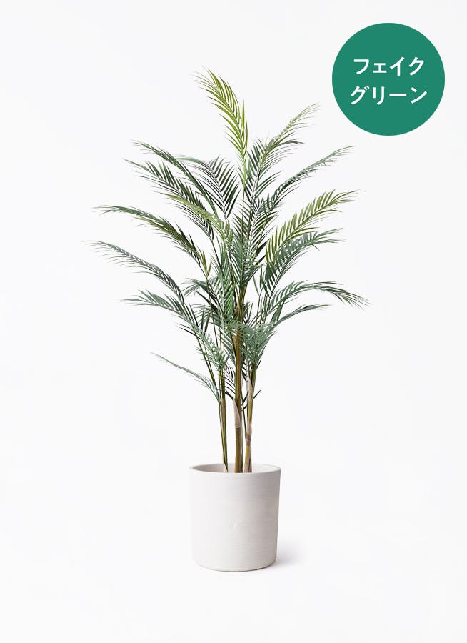 フェイクグリーン 150cm～ | 通販専門店 HitoHana（ひとはな）