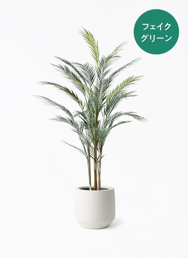 観葉植物【フェイクグリーン】アレカヤシ 150cm パボ ミドル オフ