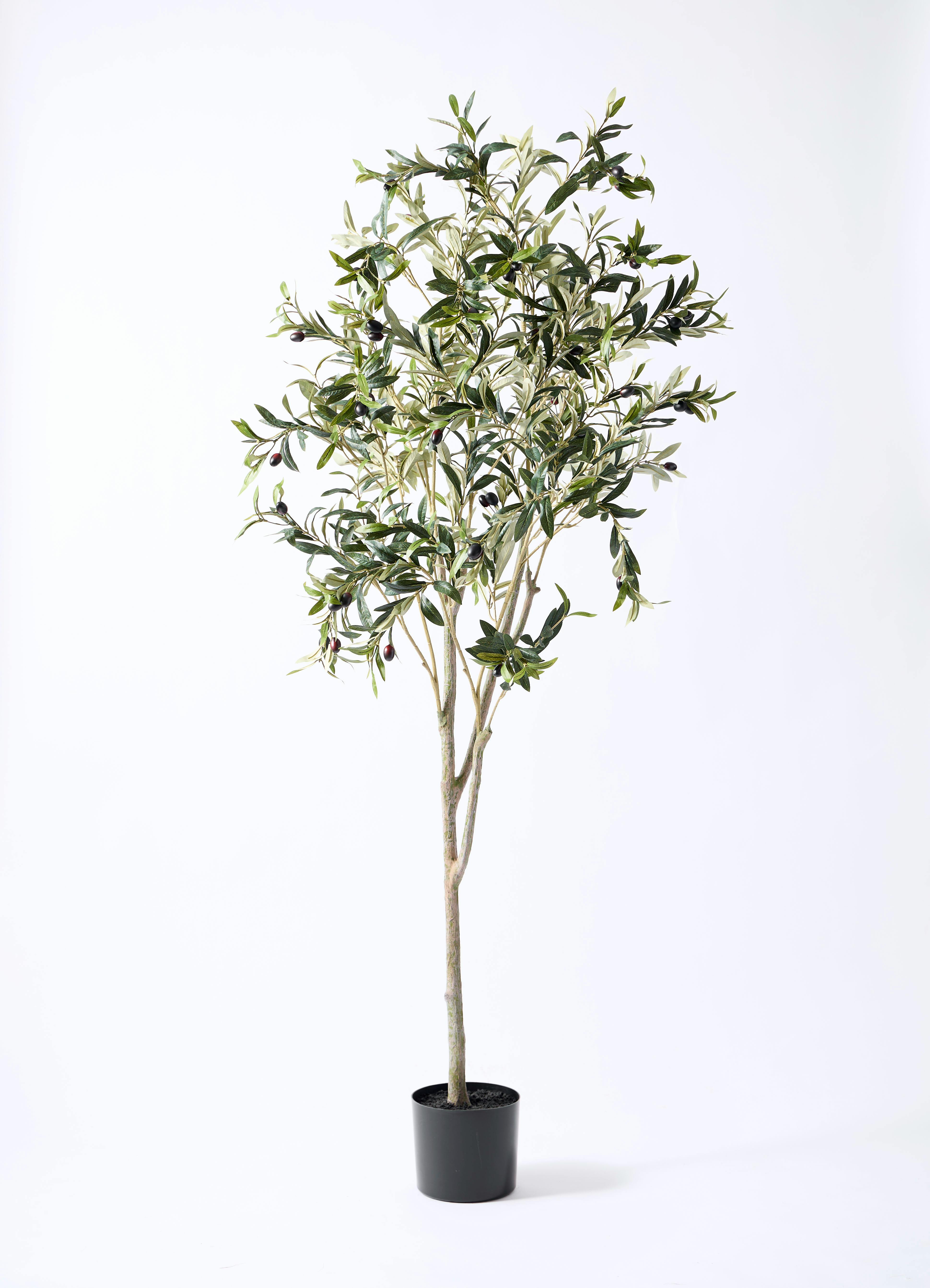 観葉植物【フェイクグリーン】オリーブ 実付き 180cm ベースポット入り