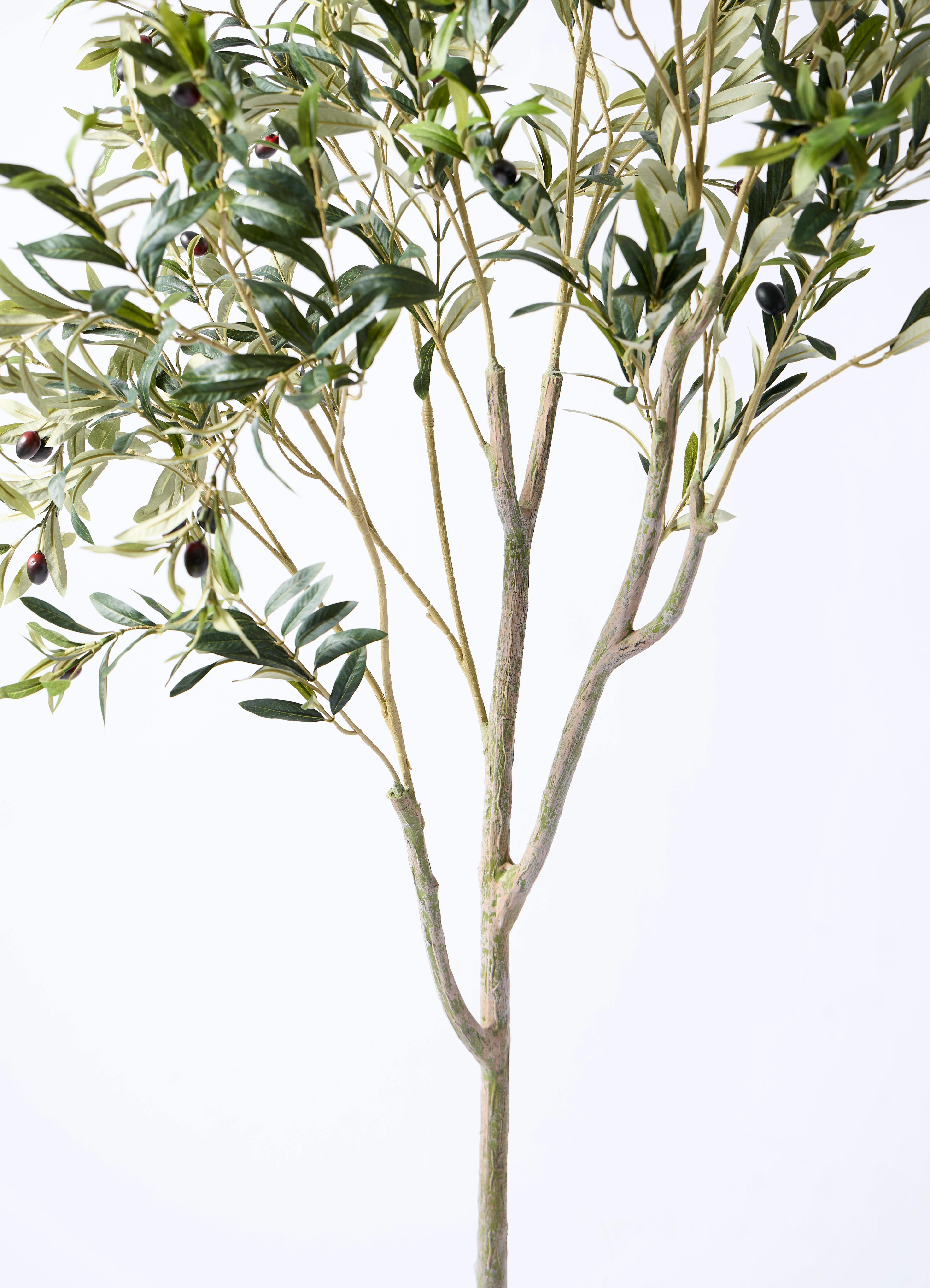 観葉植物【フェイクグリーン】オリーブ 実付き 180cm ファイバークレイ