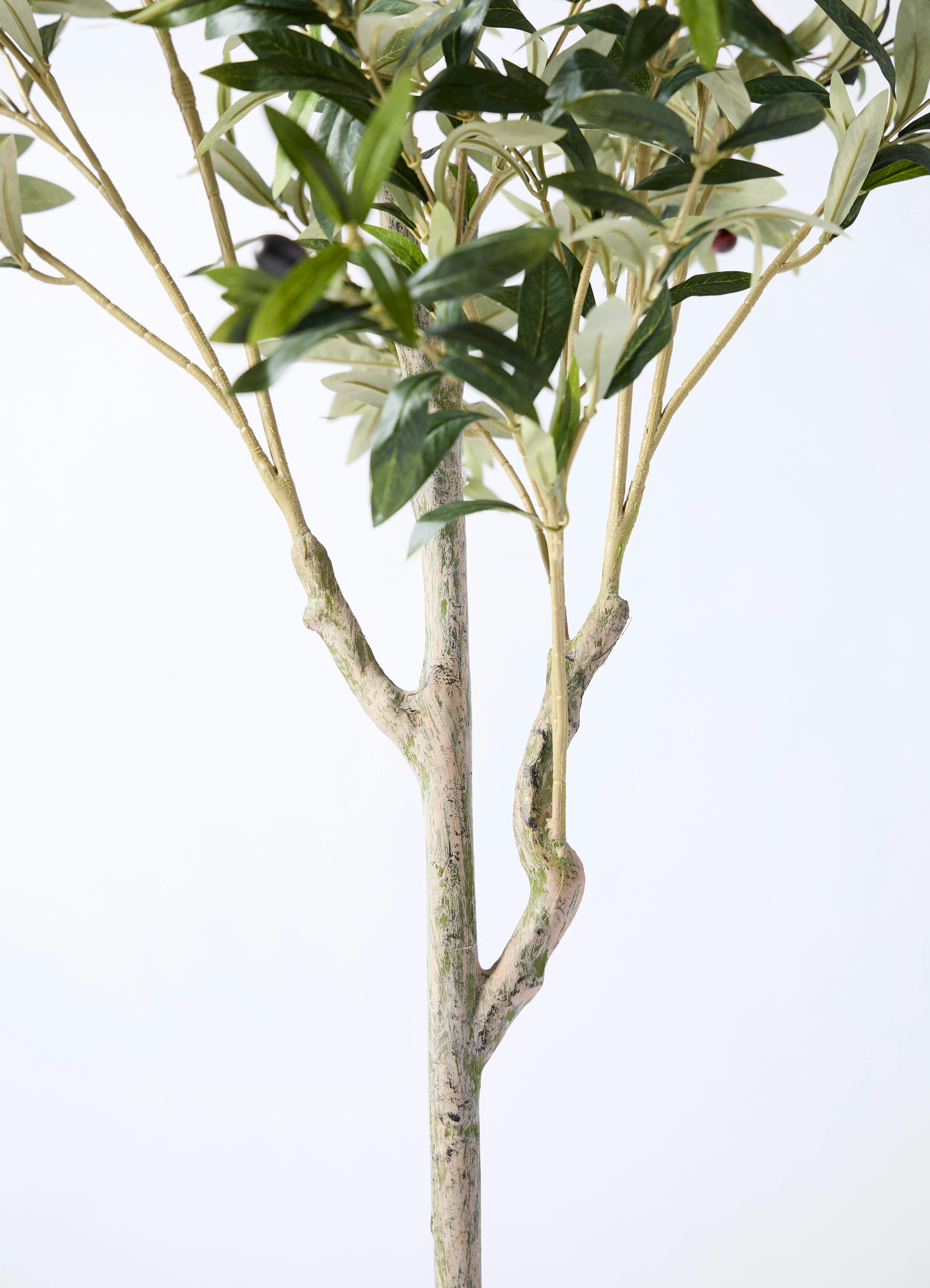 観葉植物【フェイクグリーン】オリーブ 実付き 156cm ホルスト