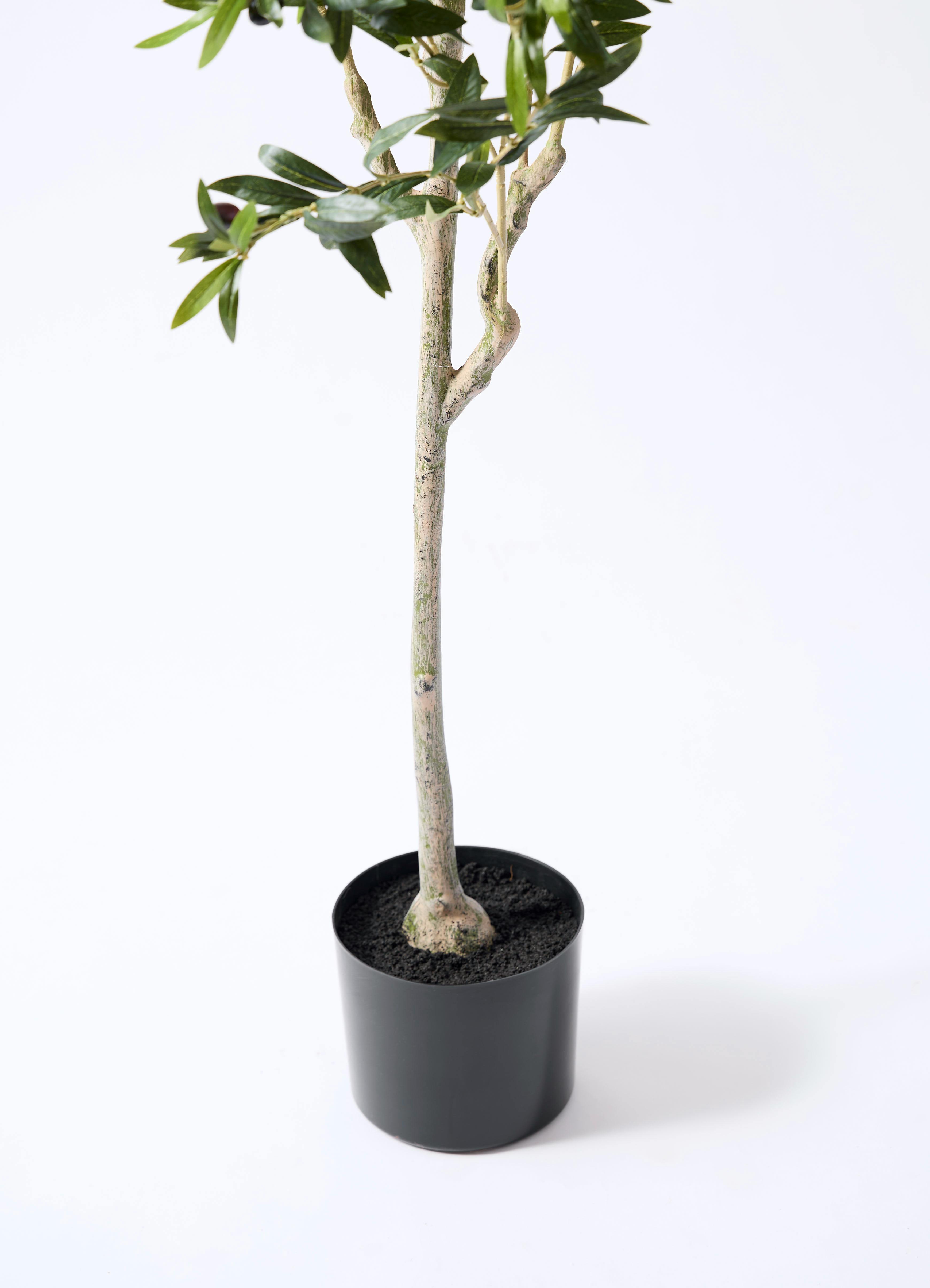 観葉植物【フェイクグリーン】オリーブ 実付き 156cm パボ ミドル