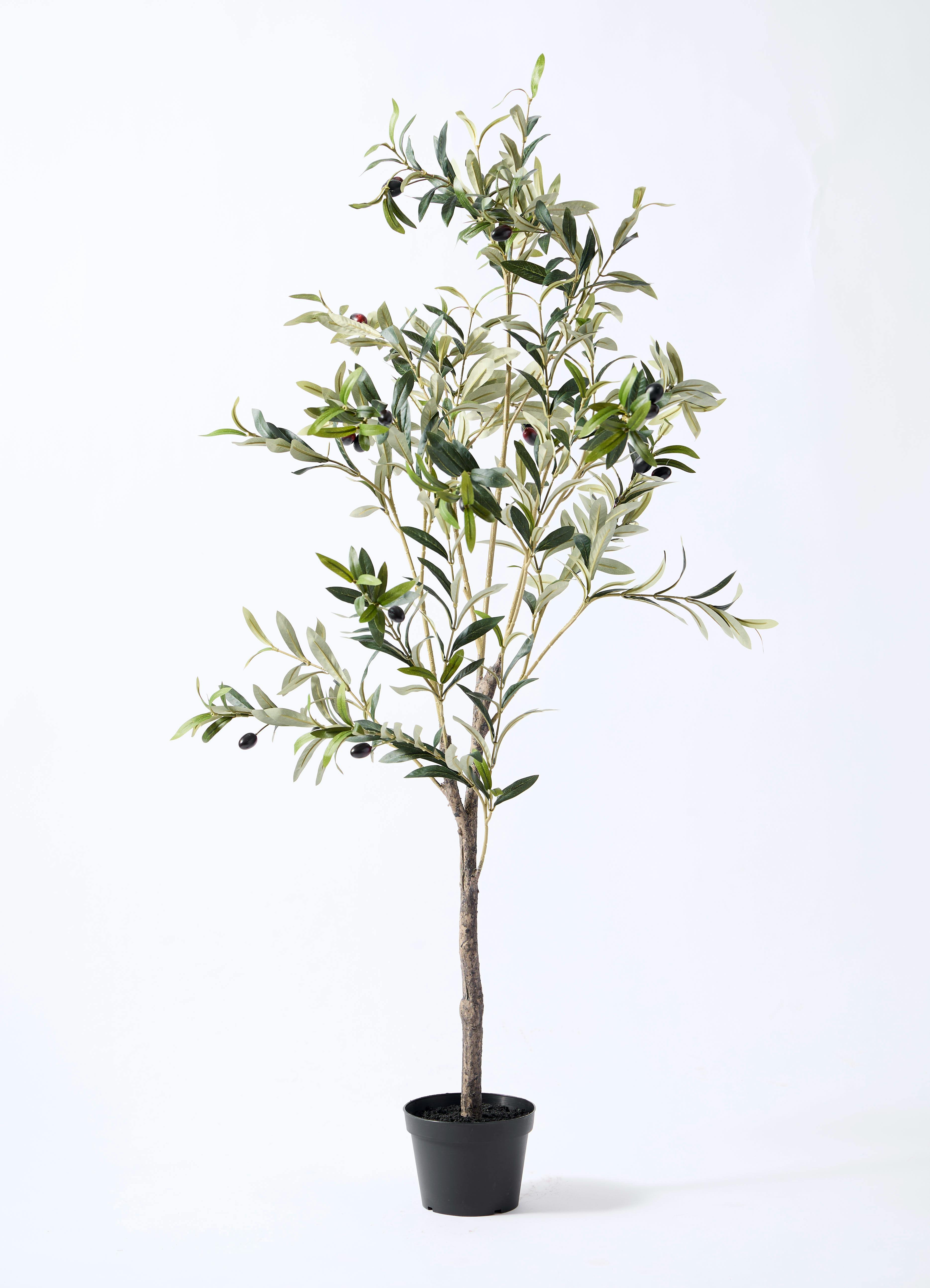 観葉植物【フェイクグリーン】オリーブ 実付き 115cm ホルスト