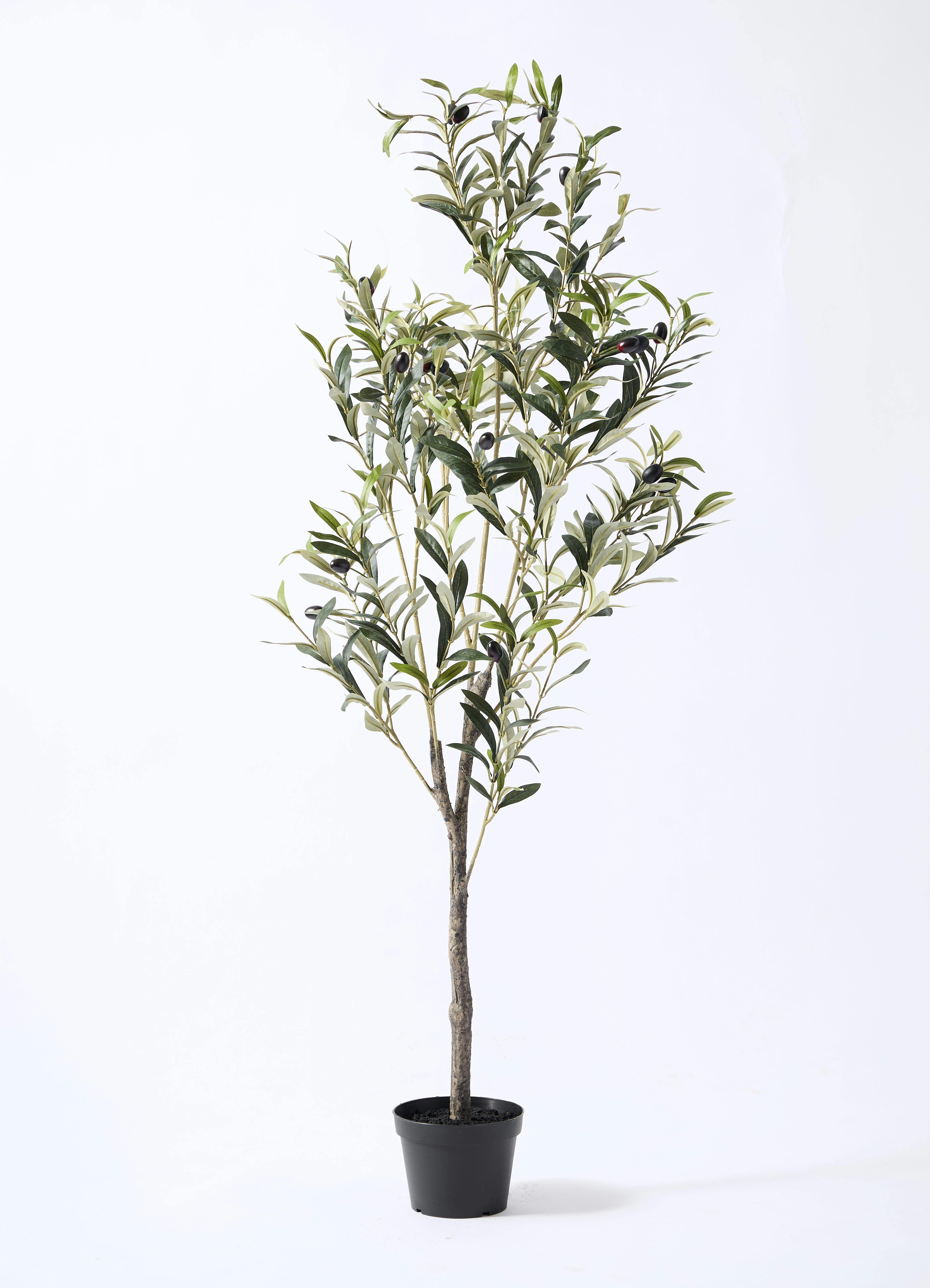 観葉植物【フェイクグリーン】オリーブ 実付き 115cm アイルエッグ
