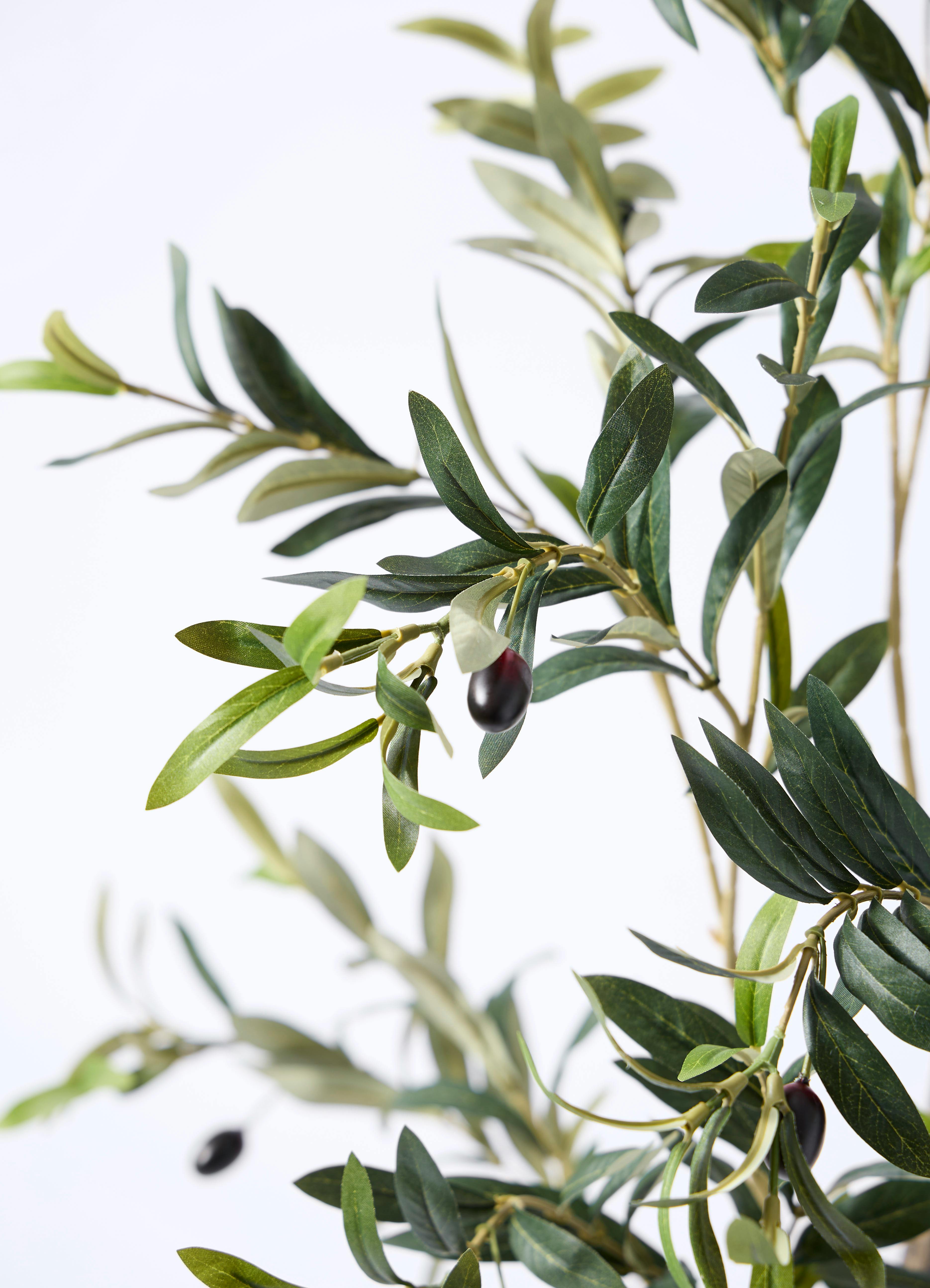 観葉植物【フェイクグリーン】オリーブ 実付き 115cm アイルエッグ