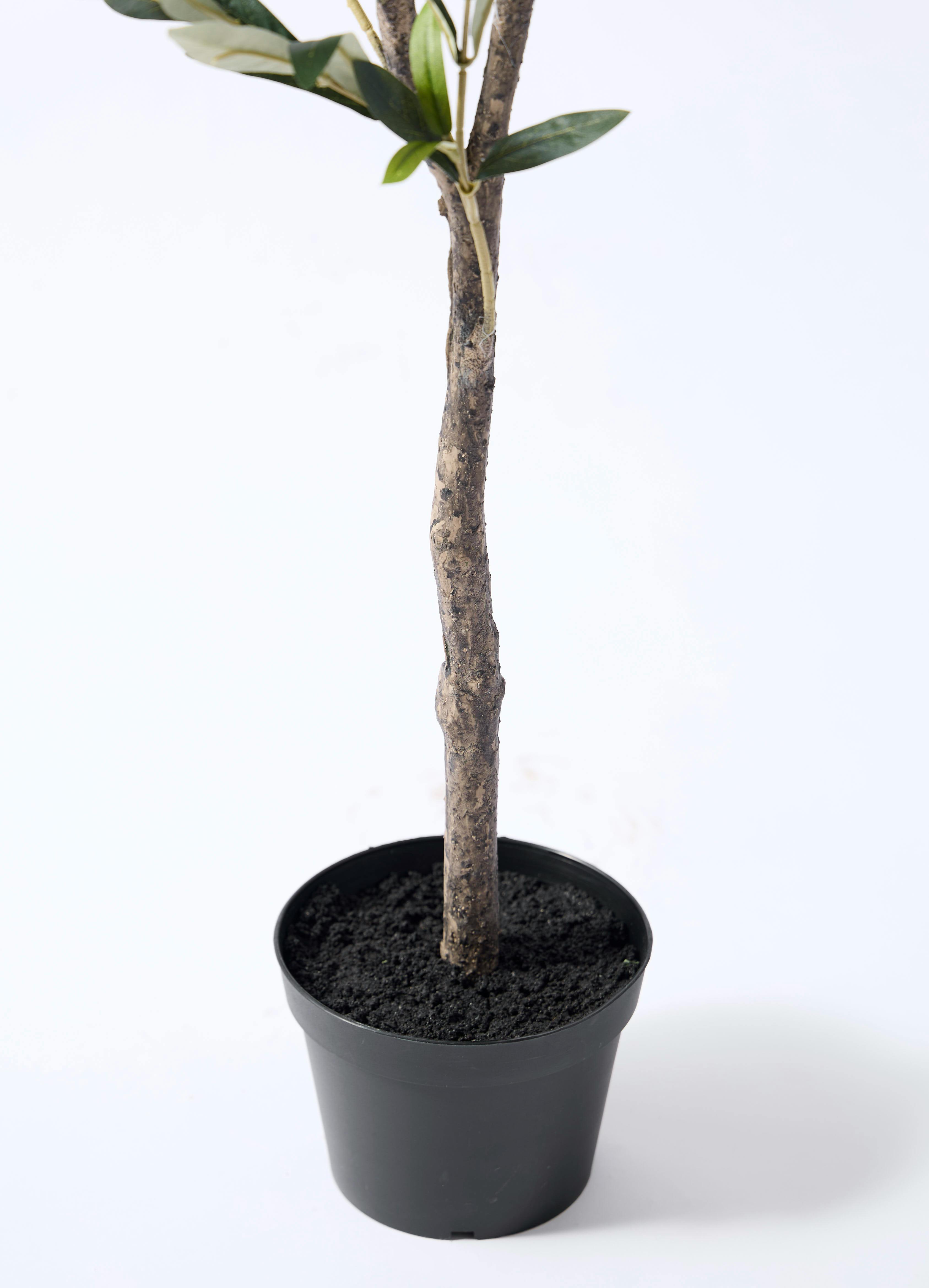 観葉植物【フェイクグリーン】オリーブ 実付き 115cm アイルエッグ