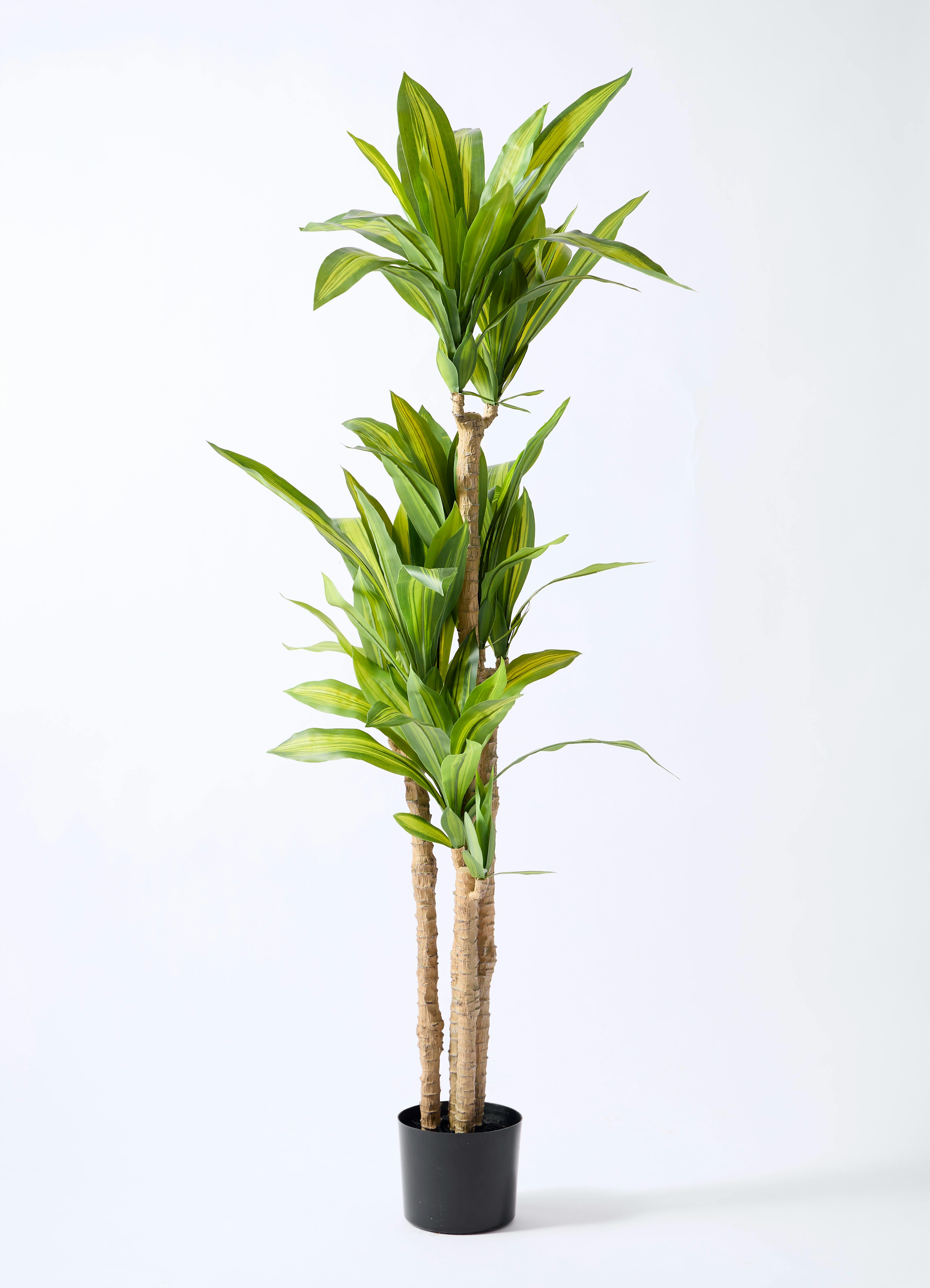 観葉植物【フェイクグリーン】ドラセナ 幸福の木 150cm ベースポット