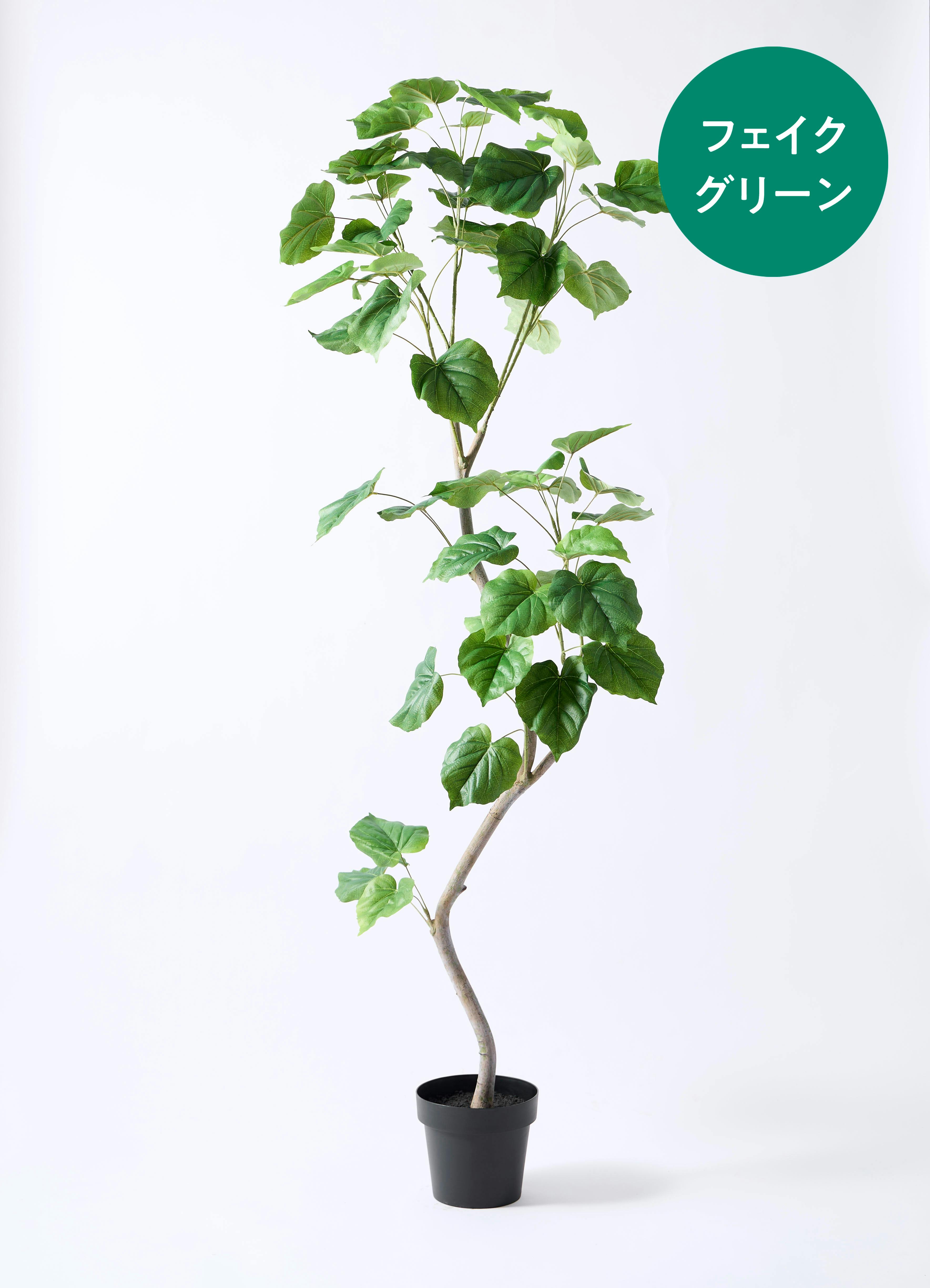 フェイクグリーン 大型（180cm～） | 通販専門店 HitoHana（ひとはな）