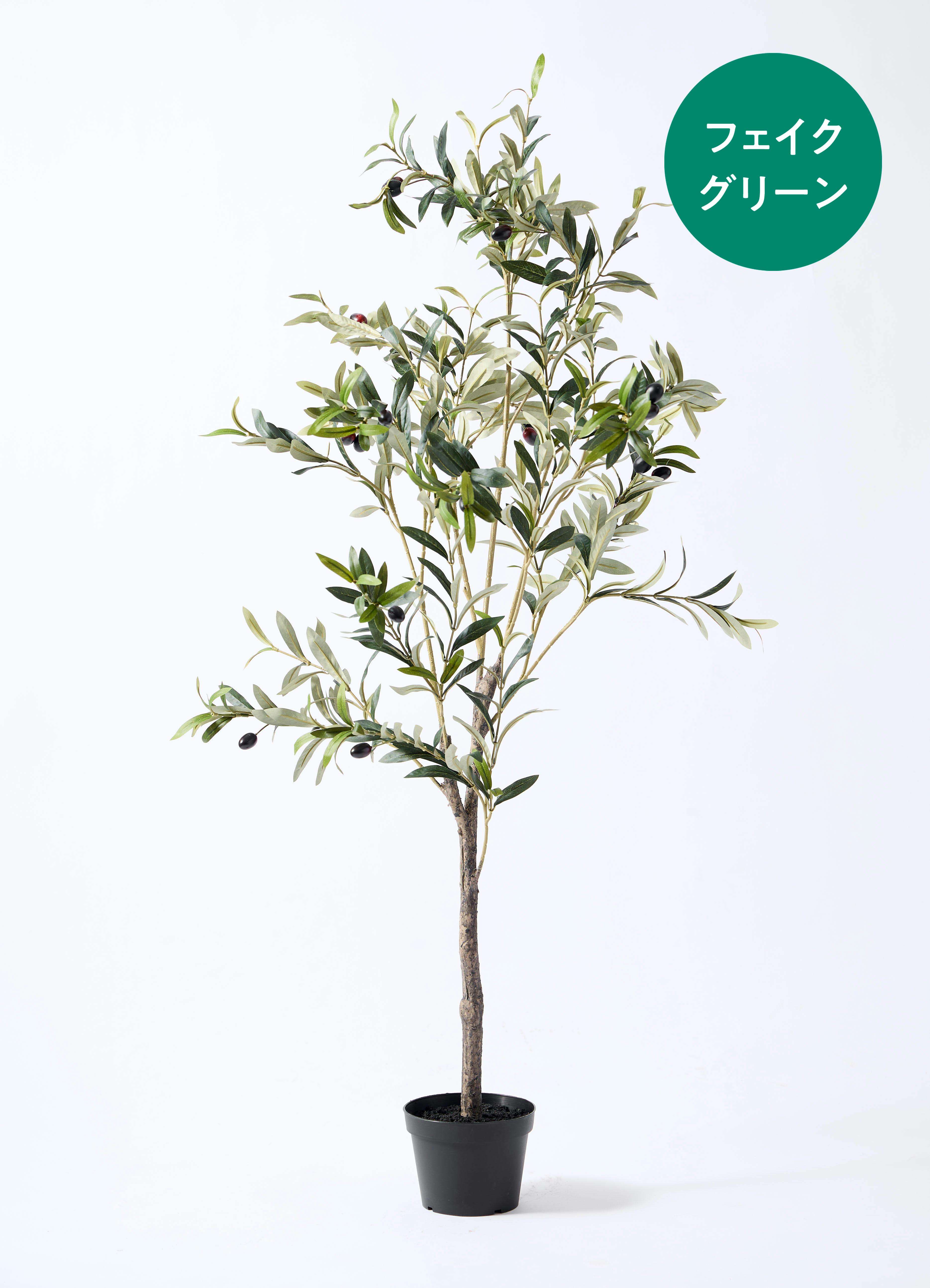 観葉植物【フェイクグリーン】オリーブ 実付き 115cm アイルエッグ