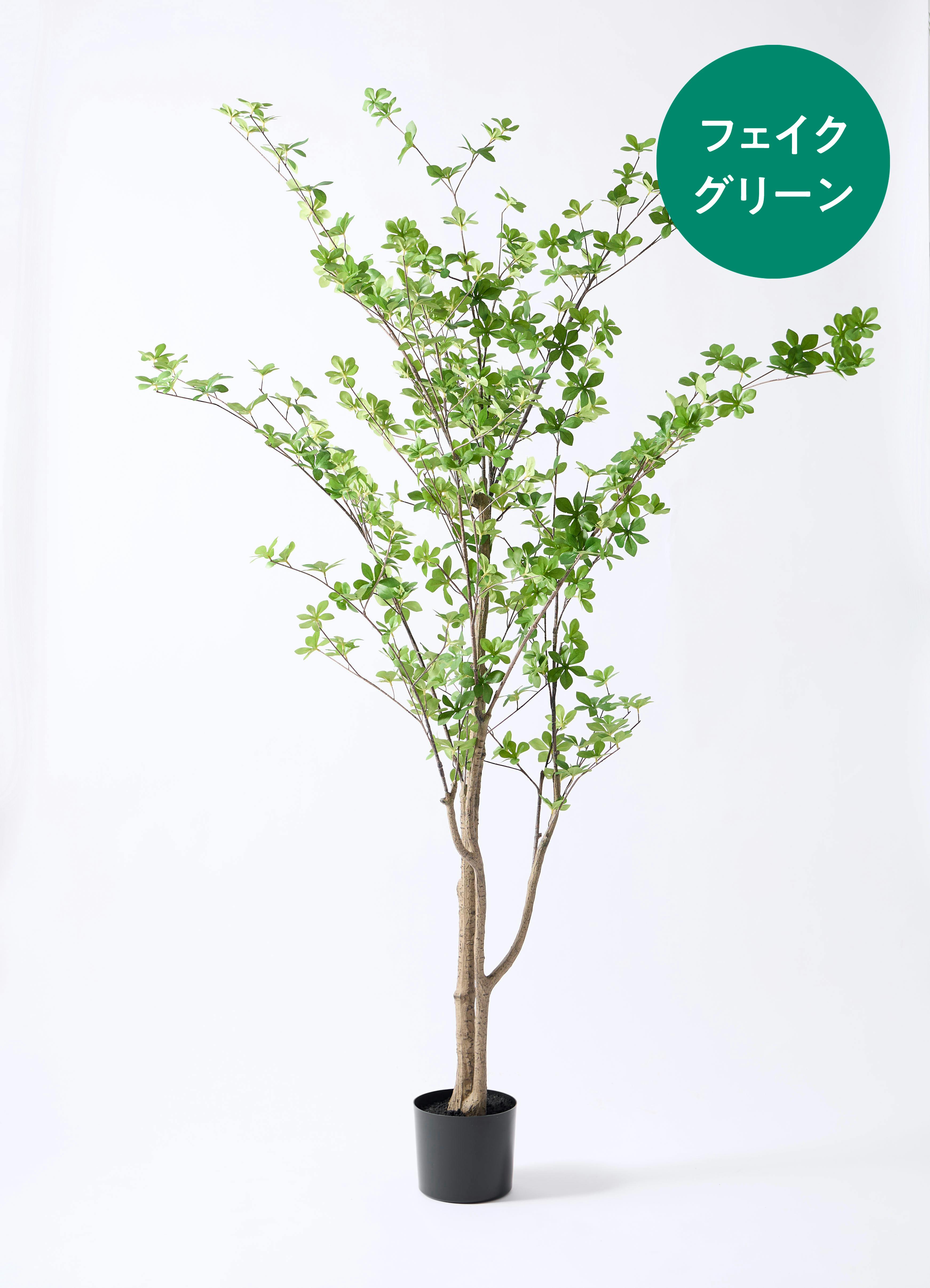 フェイクグリーン 大型（180cm～） | 観葉植物の通販ならHitoHana