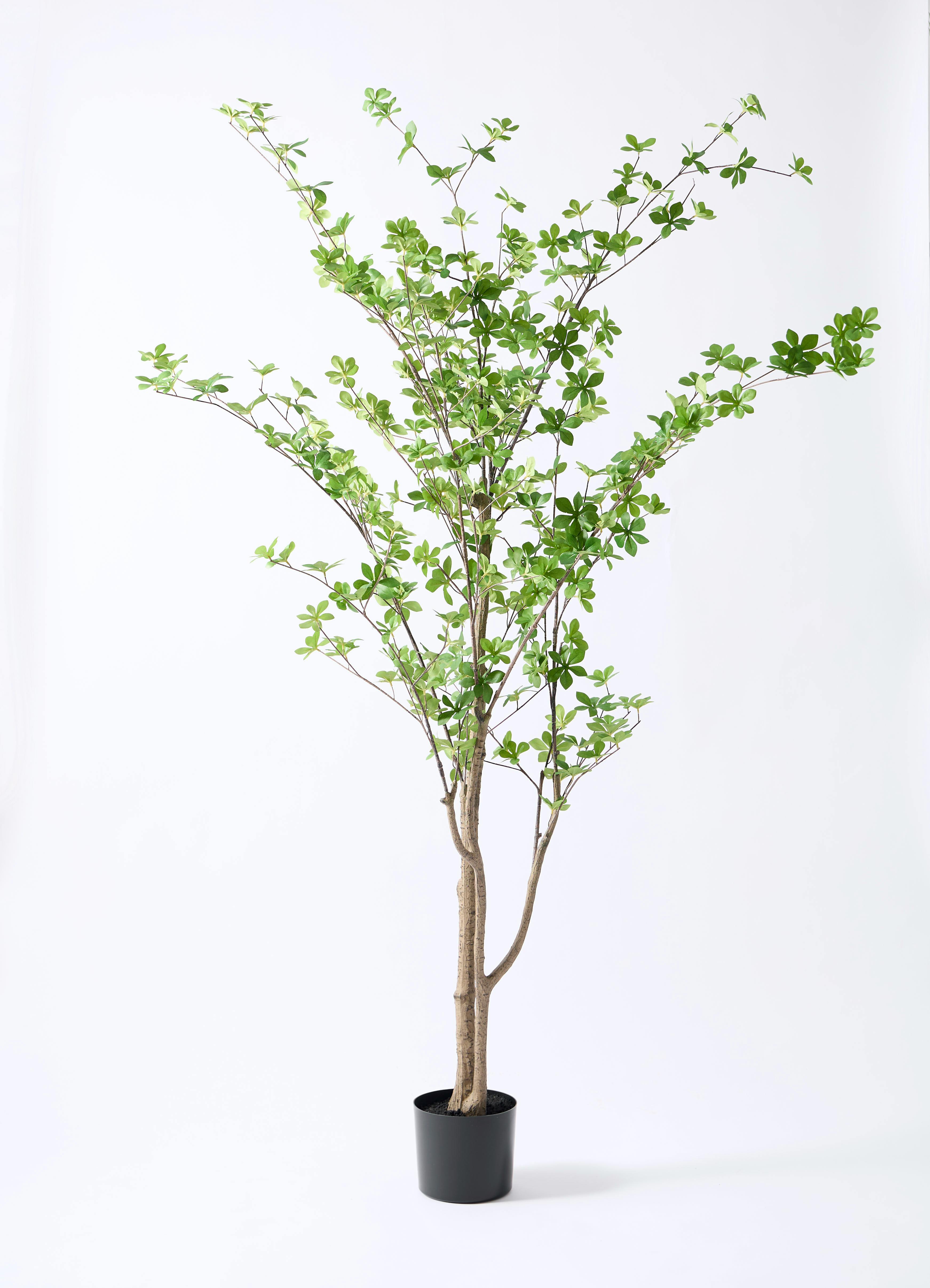 光触媒　人工観葉植物　フェイクグリーン　ドウダンツツジ130FST 観葉植物【フェイクグリーン】ドウダンツツジ 190cm ベースポット入り
