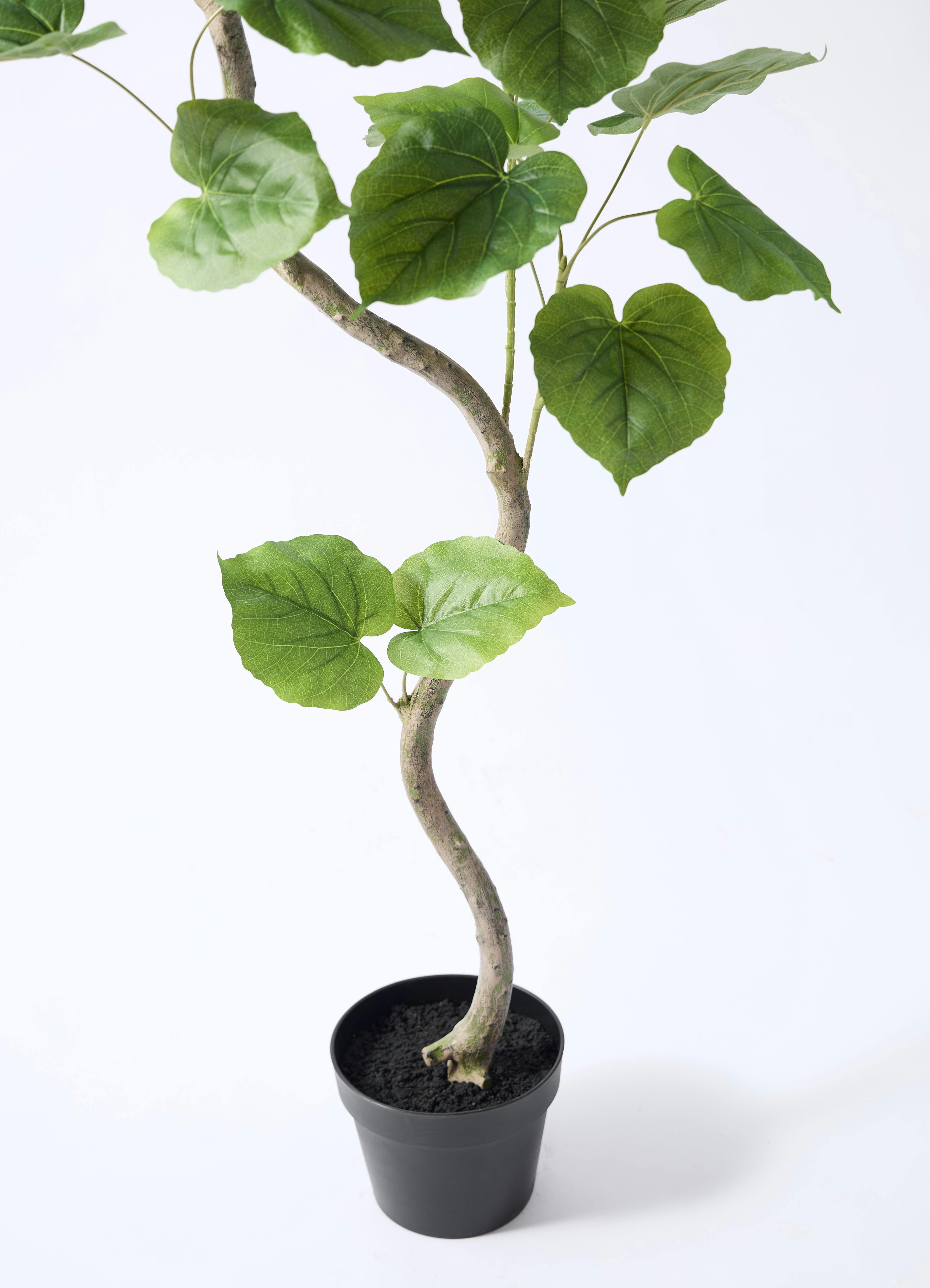 観葉植物【フェイクグリーン】ウンベラータ 曲り 150cm ベースポット