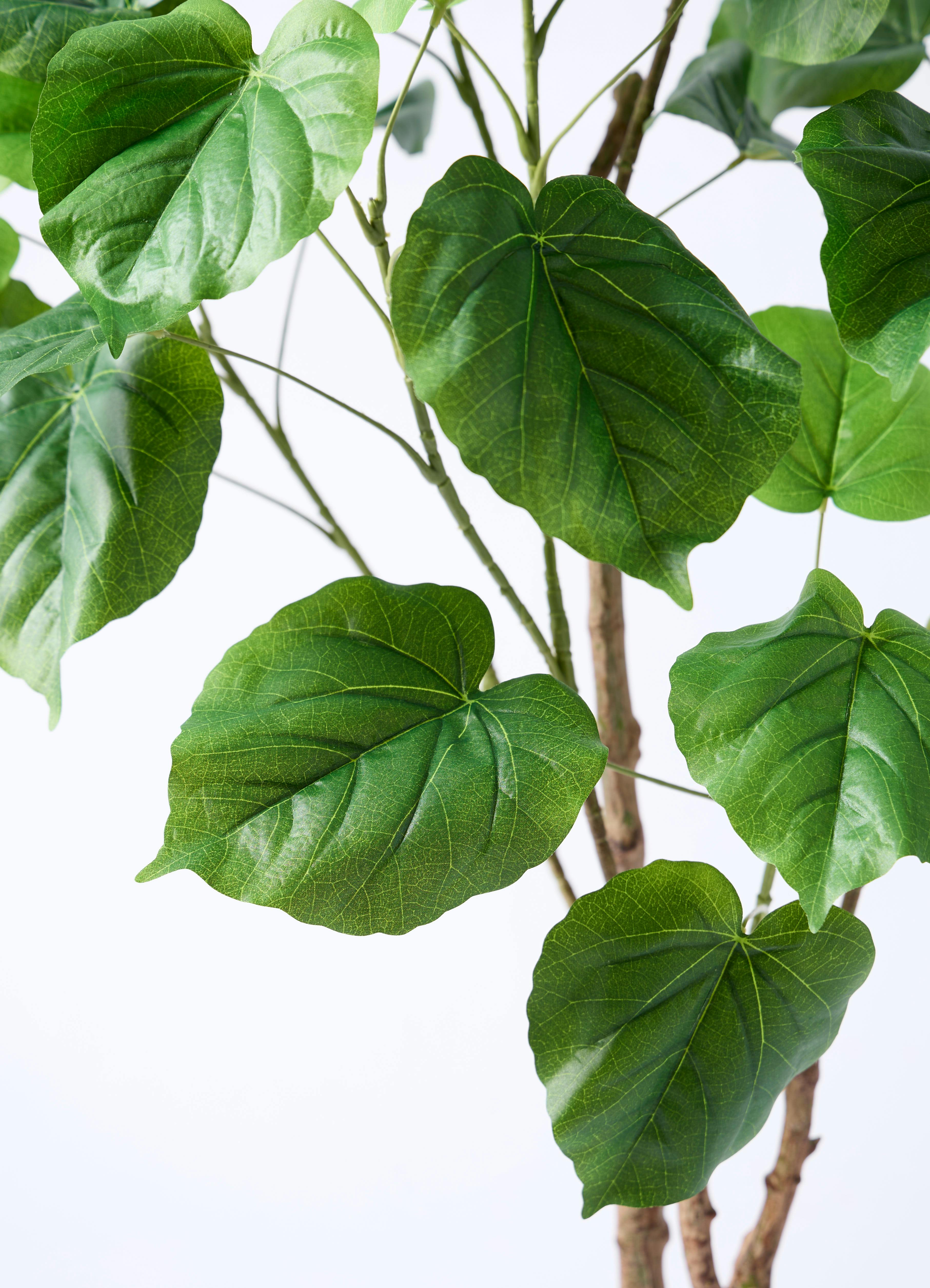 観葉植物【フェイクグリーン】ウンベラータ 120cm アイルエッグ グレー