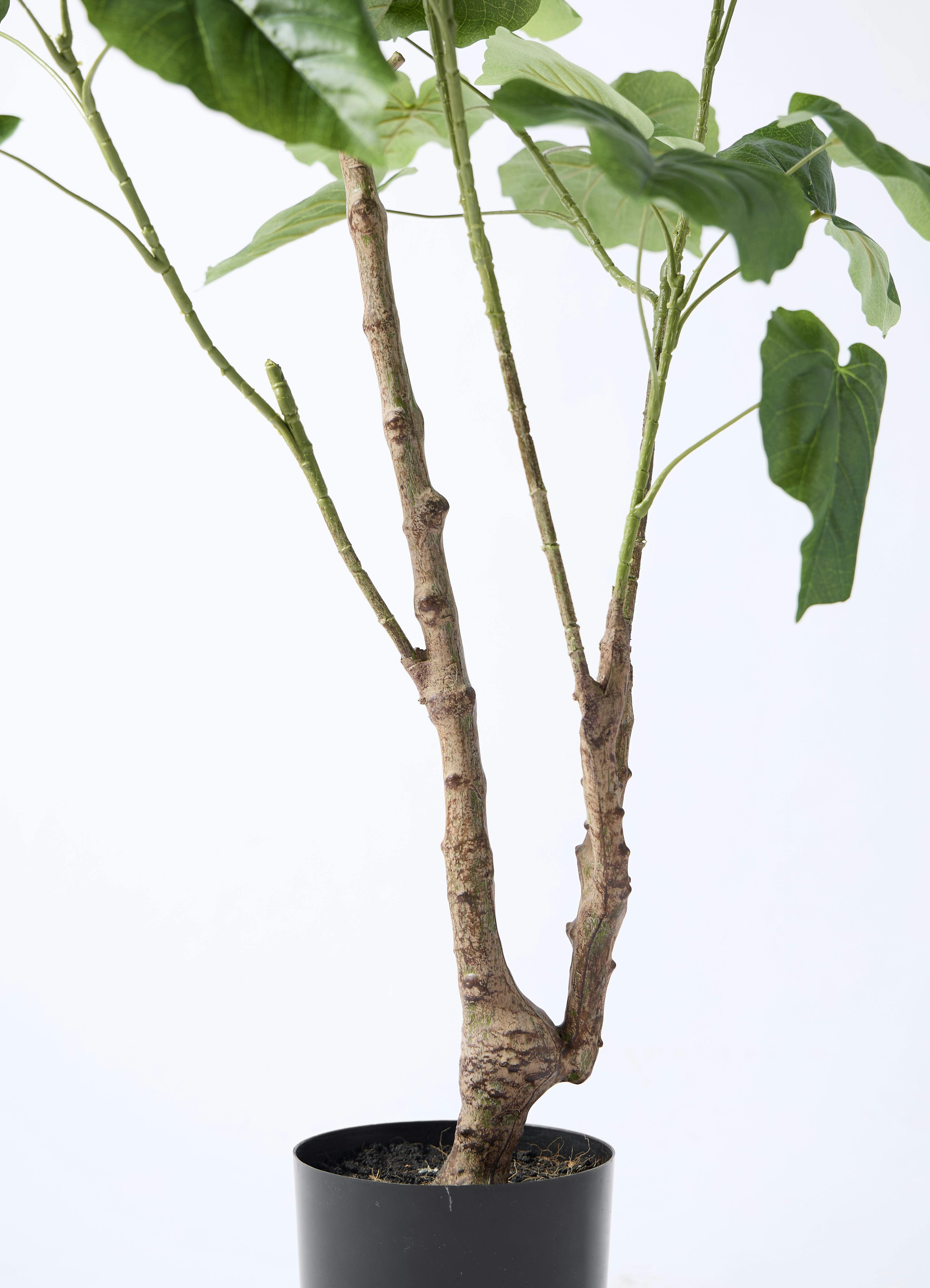 観葉植物【フェイクグリーン】ウンベラータ 120cm アイルエッグ グレー