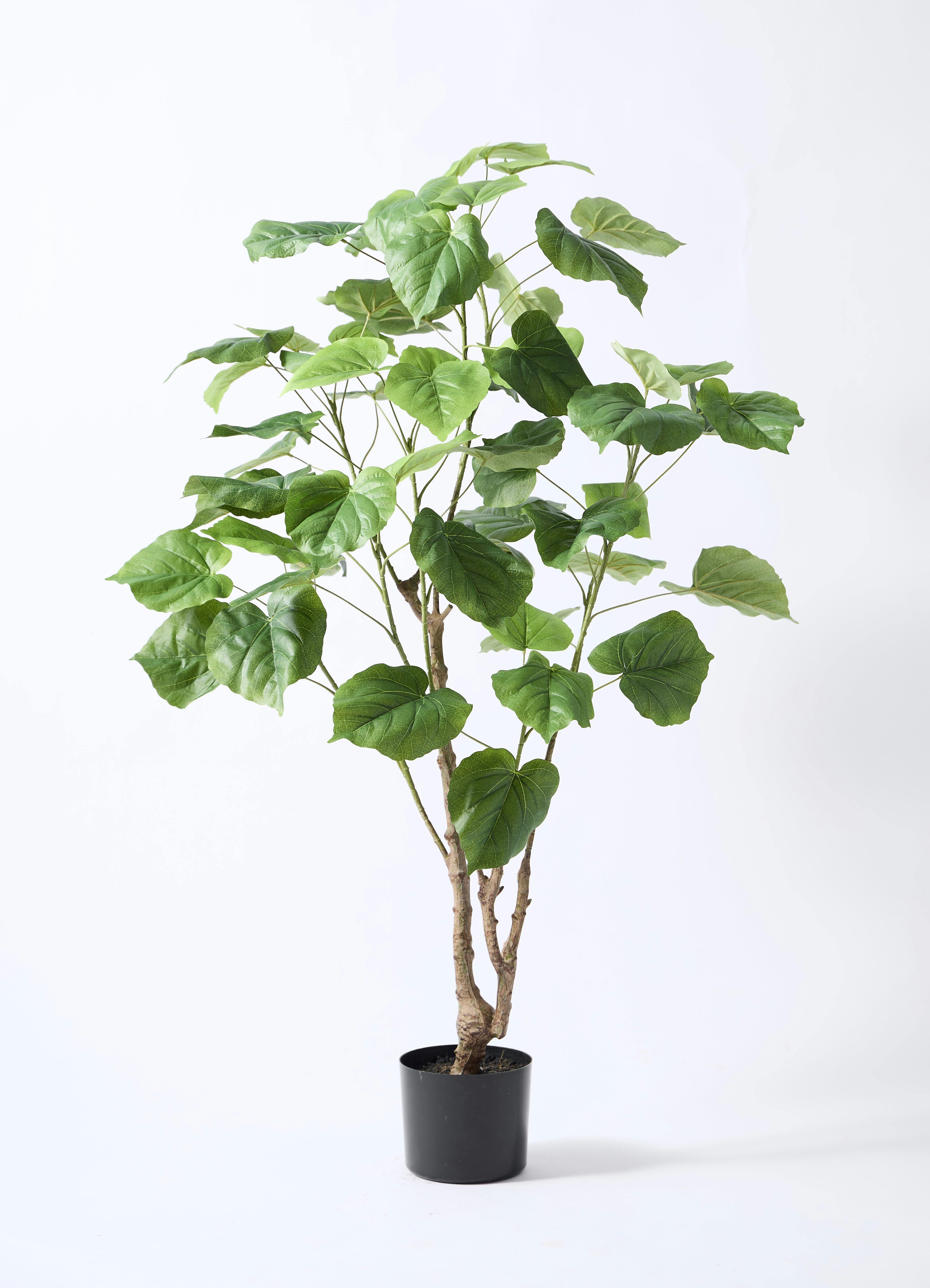 観葉植物【フェイクグリーン】ウンベラータ 120cm アイルエッグ グレー