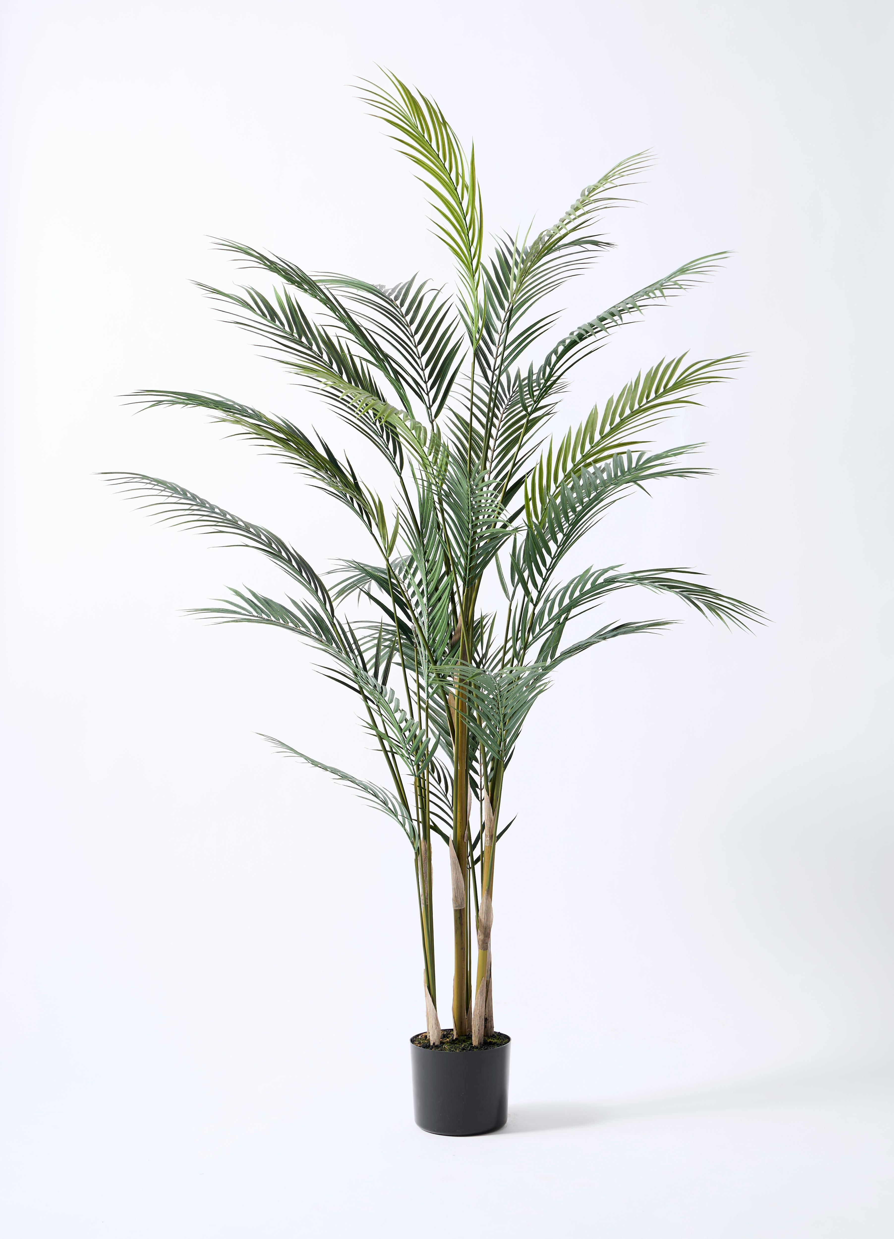 観葉植物【フェイクグリーン】アレカヤシ 150cm エステリ ブラック