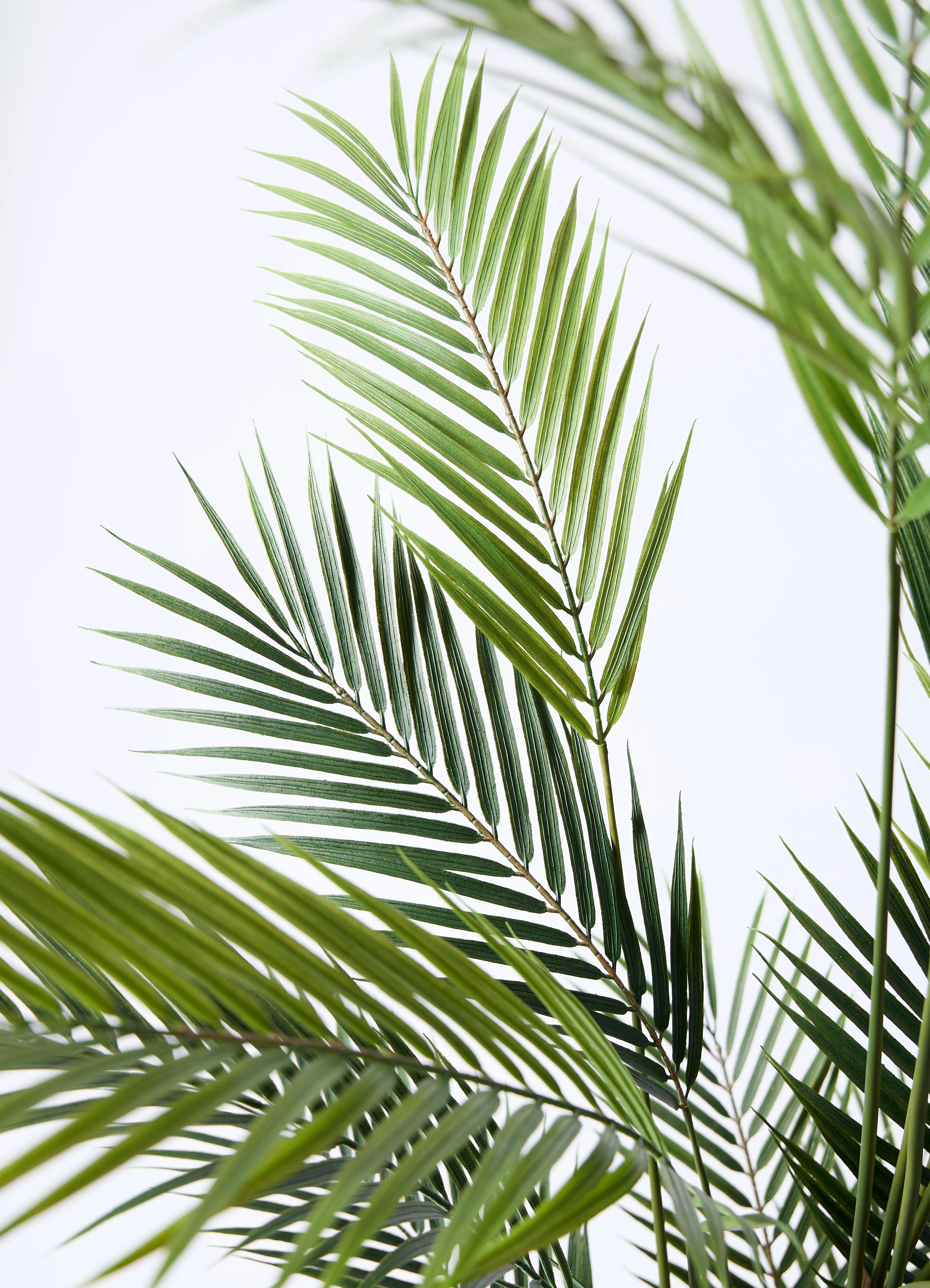 観葉植物【フェイクグリーン】アレカヤシ 150cm ベースポット入り #GLP