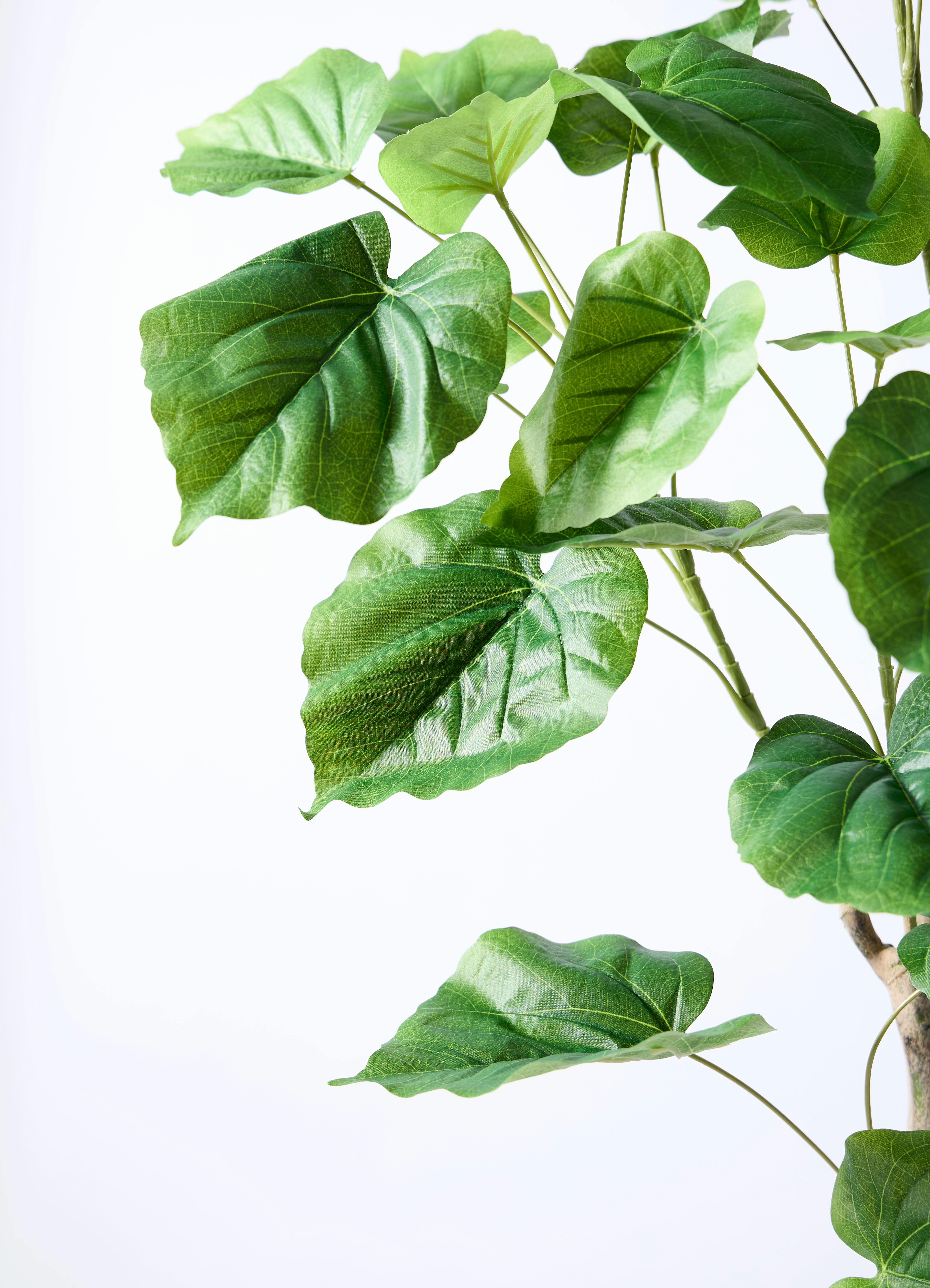 観葉植物【フェイクグリーン】ウンベラータ 曲り 150cm ラスターポット