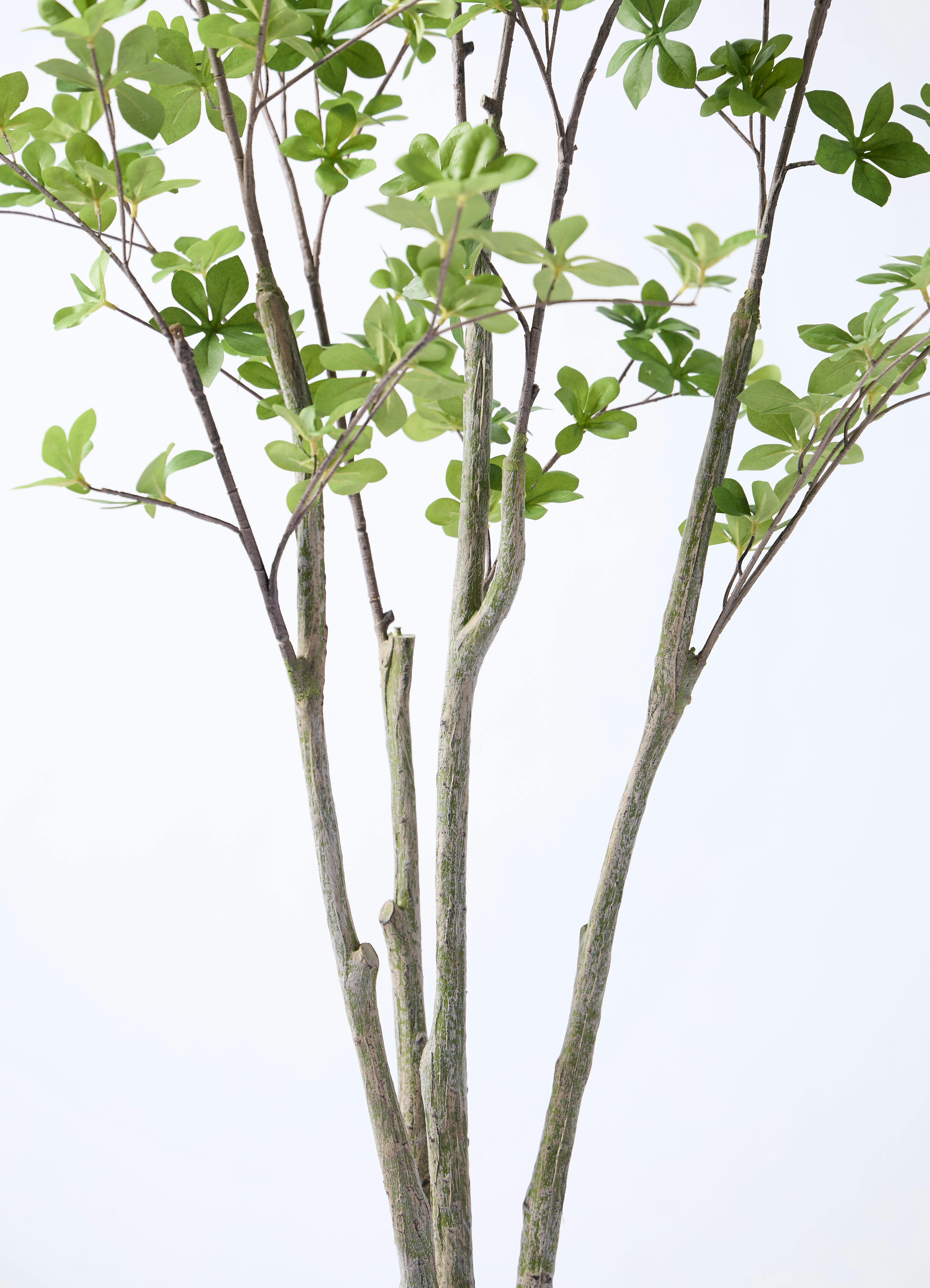 観葉植物【フェイクグリーン】ドウダンツツジ 155cm ラスターポット