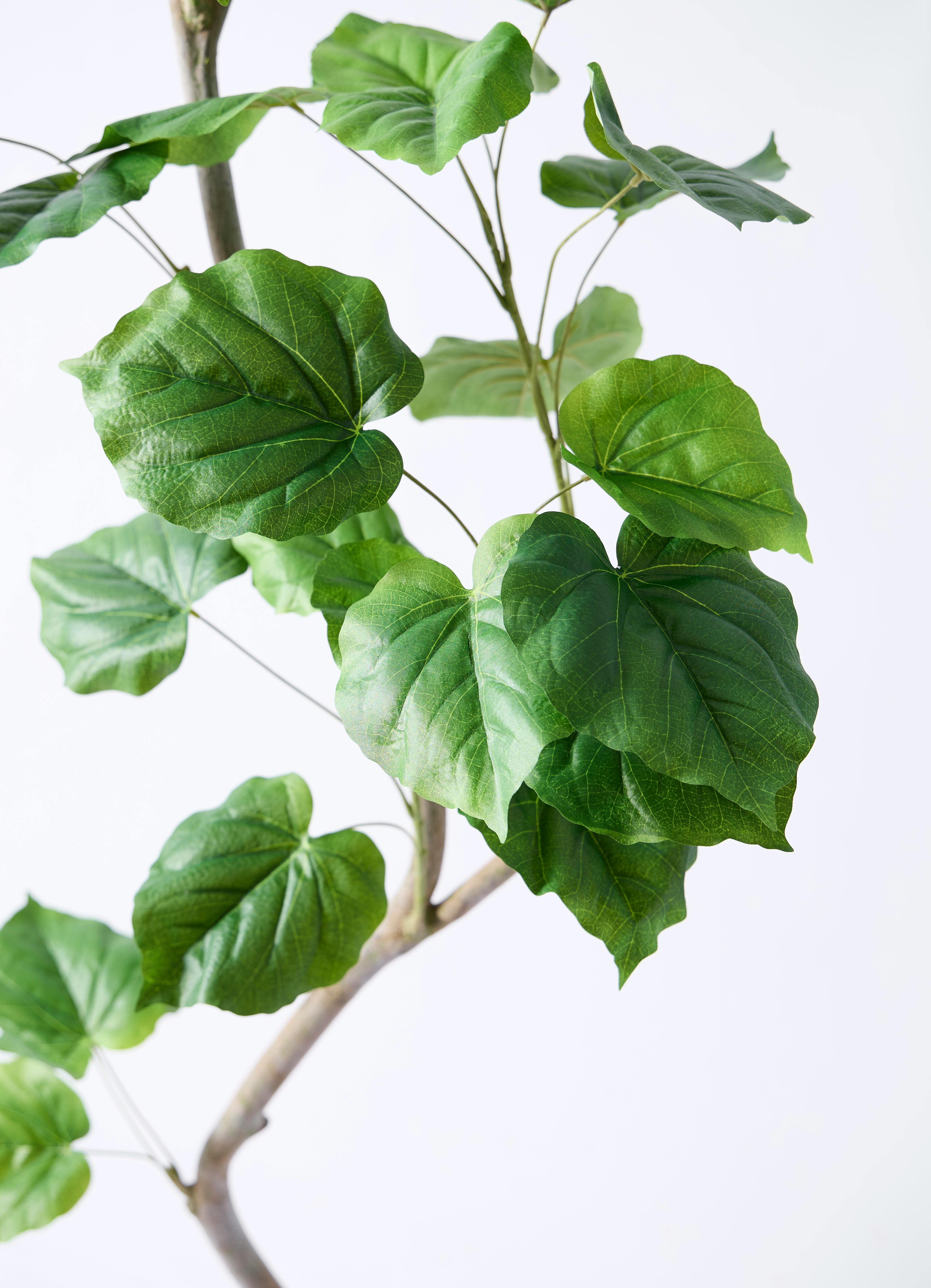 観葉植物【フェイクグリーン】ウンベラータ 曲り 190cm ラスターポット