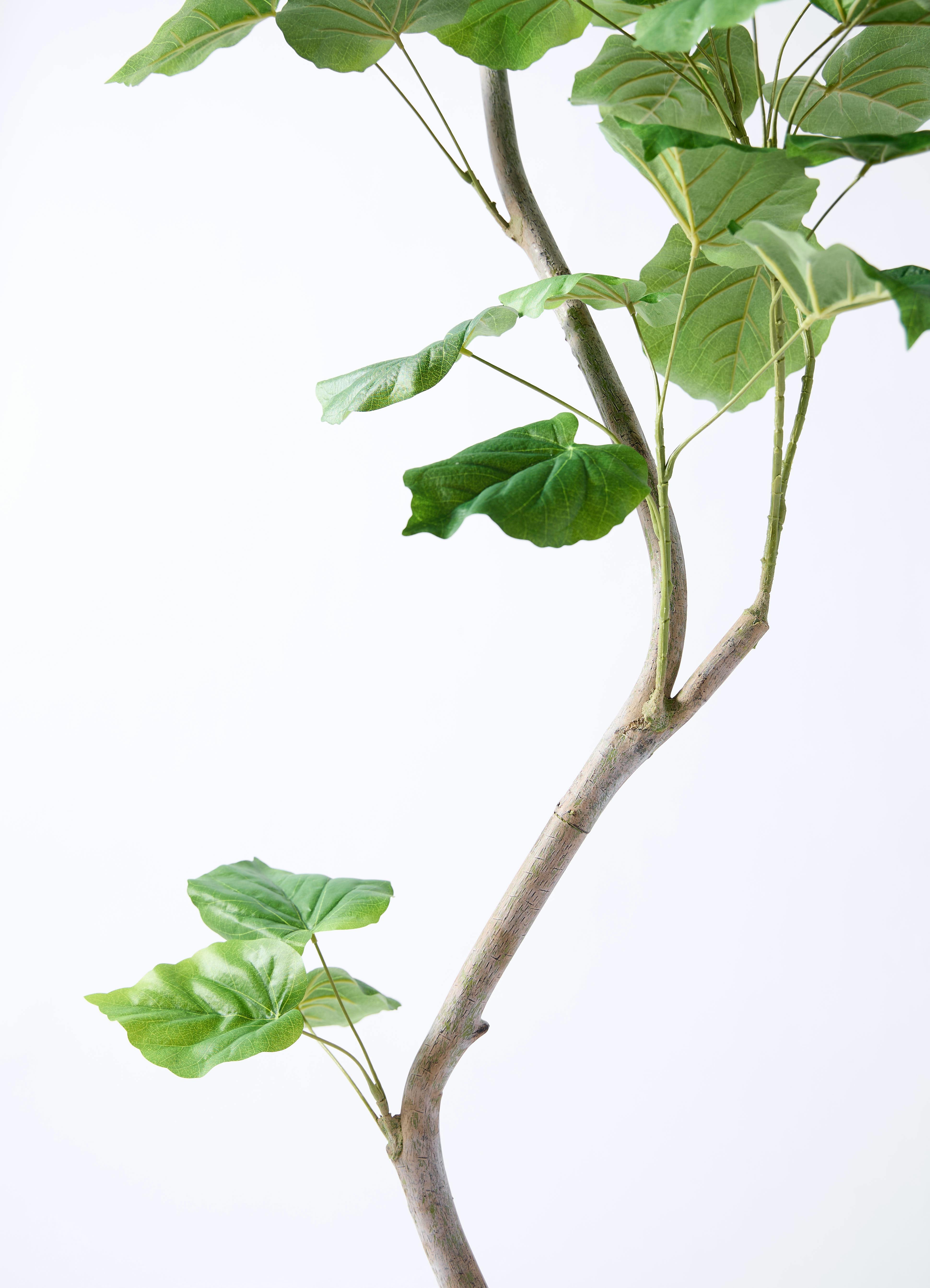 観葉植物【フェイクグリーン】ウンベラータ 曲り 190cm ラスターポット
