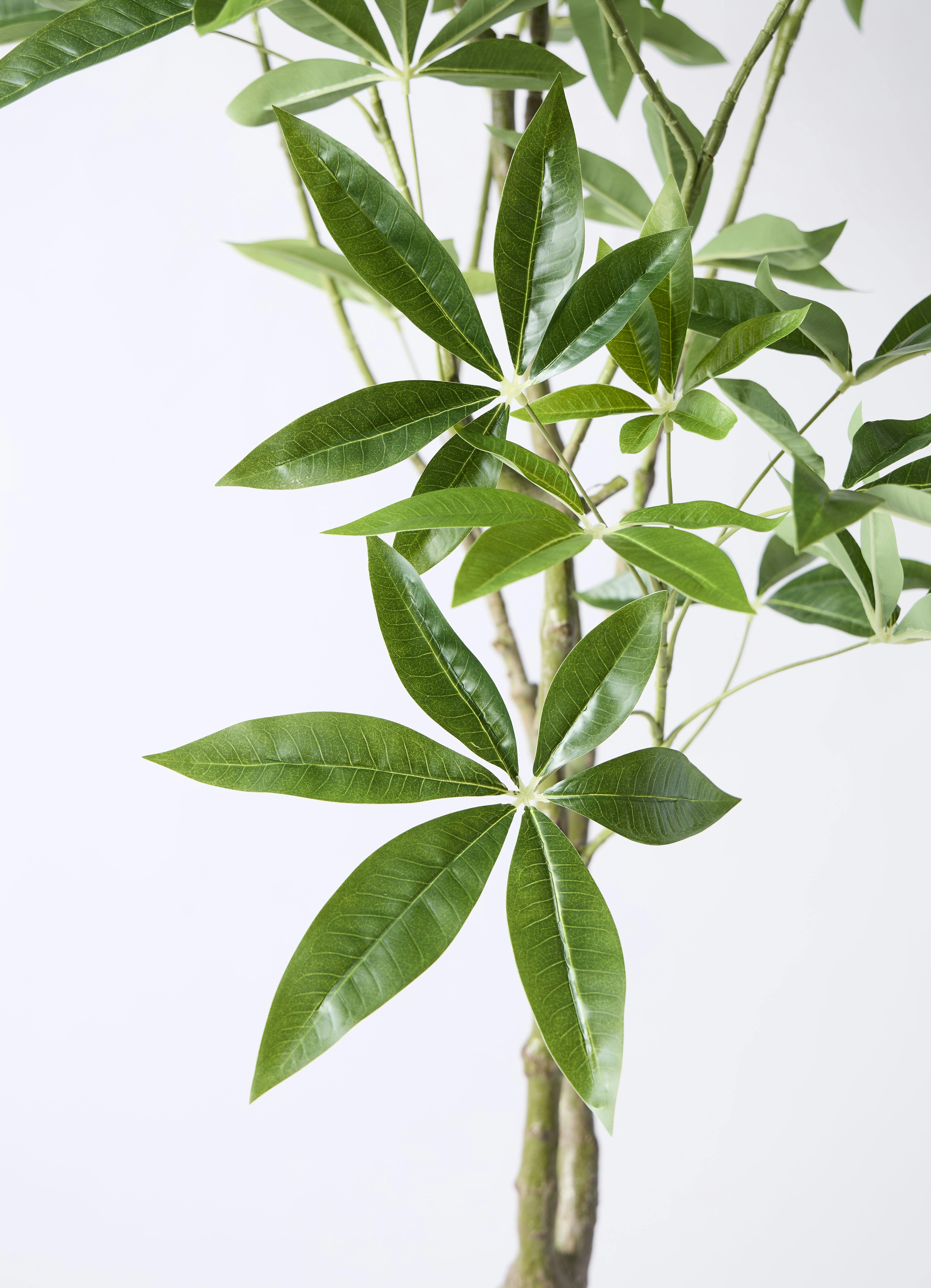 観葉植物【フェイクグリーン】パキラ 180cm ウッドプランター 付き