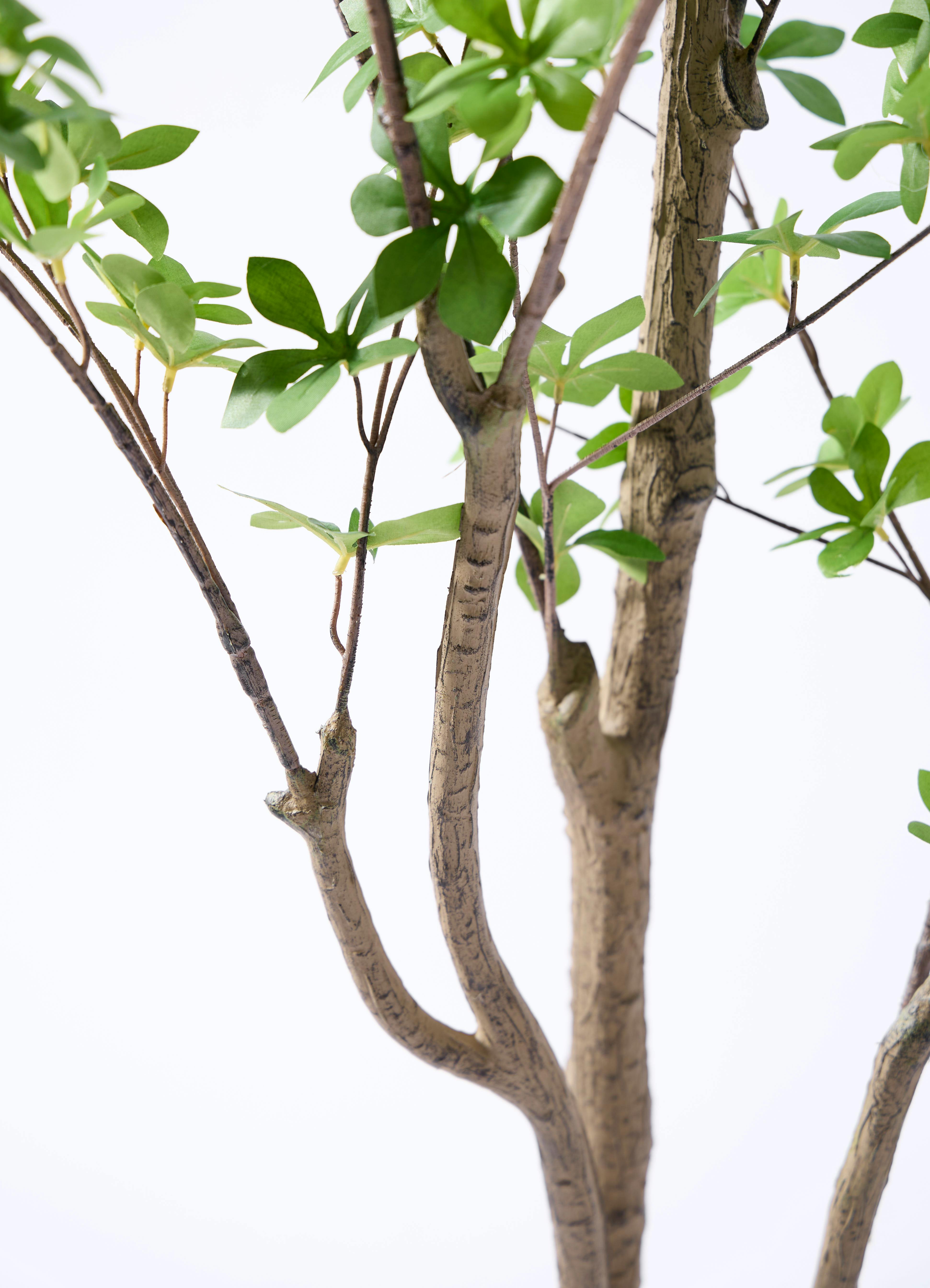 観葉植物【フェイクグリーン】ドウダンツツジ 190cm テラニアス