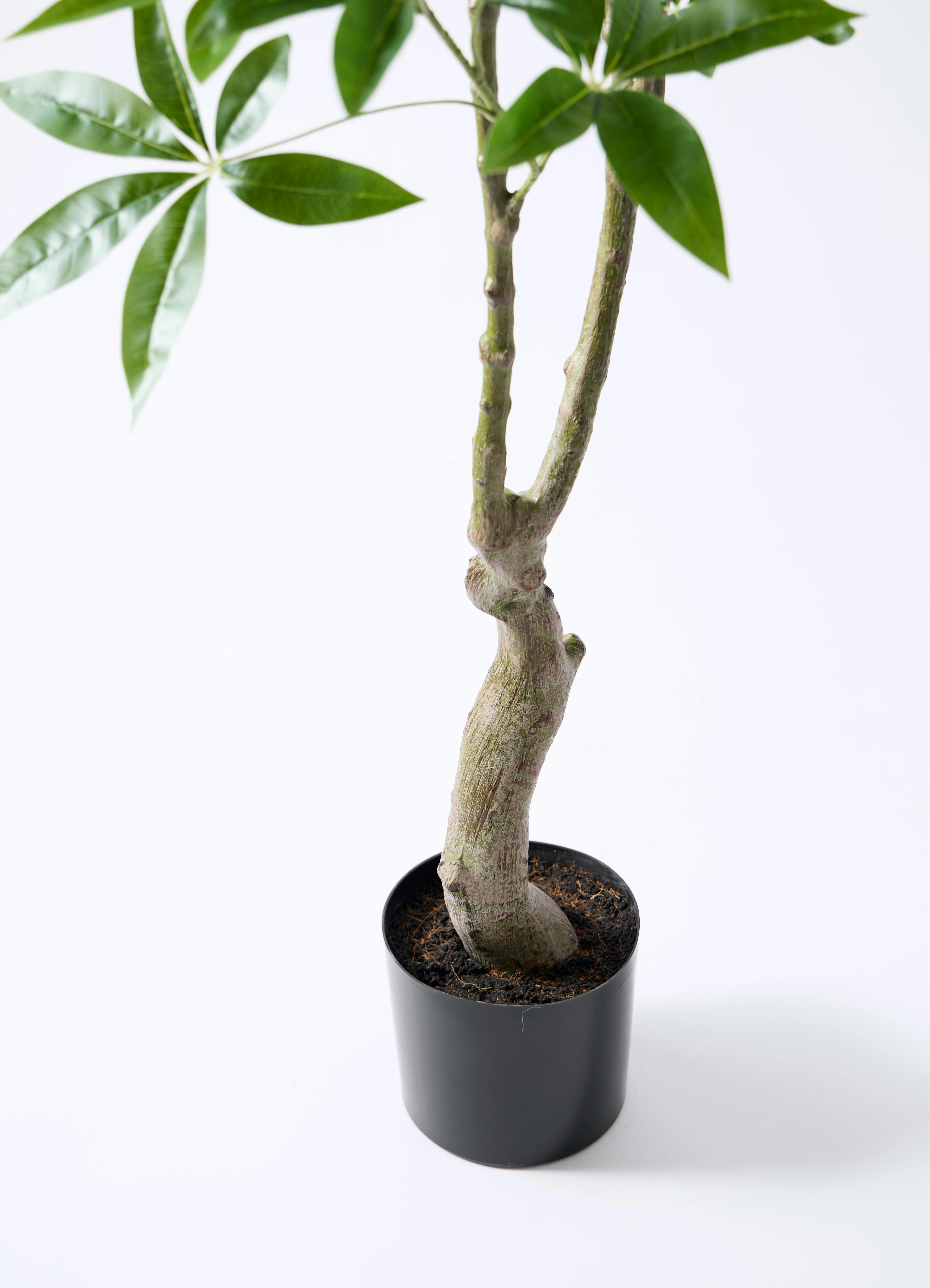 約180cm!!フェイク観葉植物（パキラ）  　 パキラ 180cm - フェイクグリーン専用通販サイト – フェイクグリーン