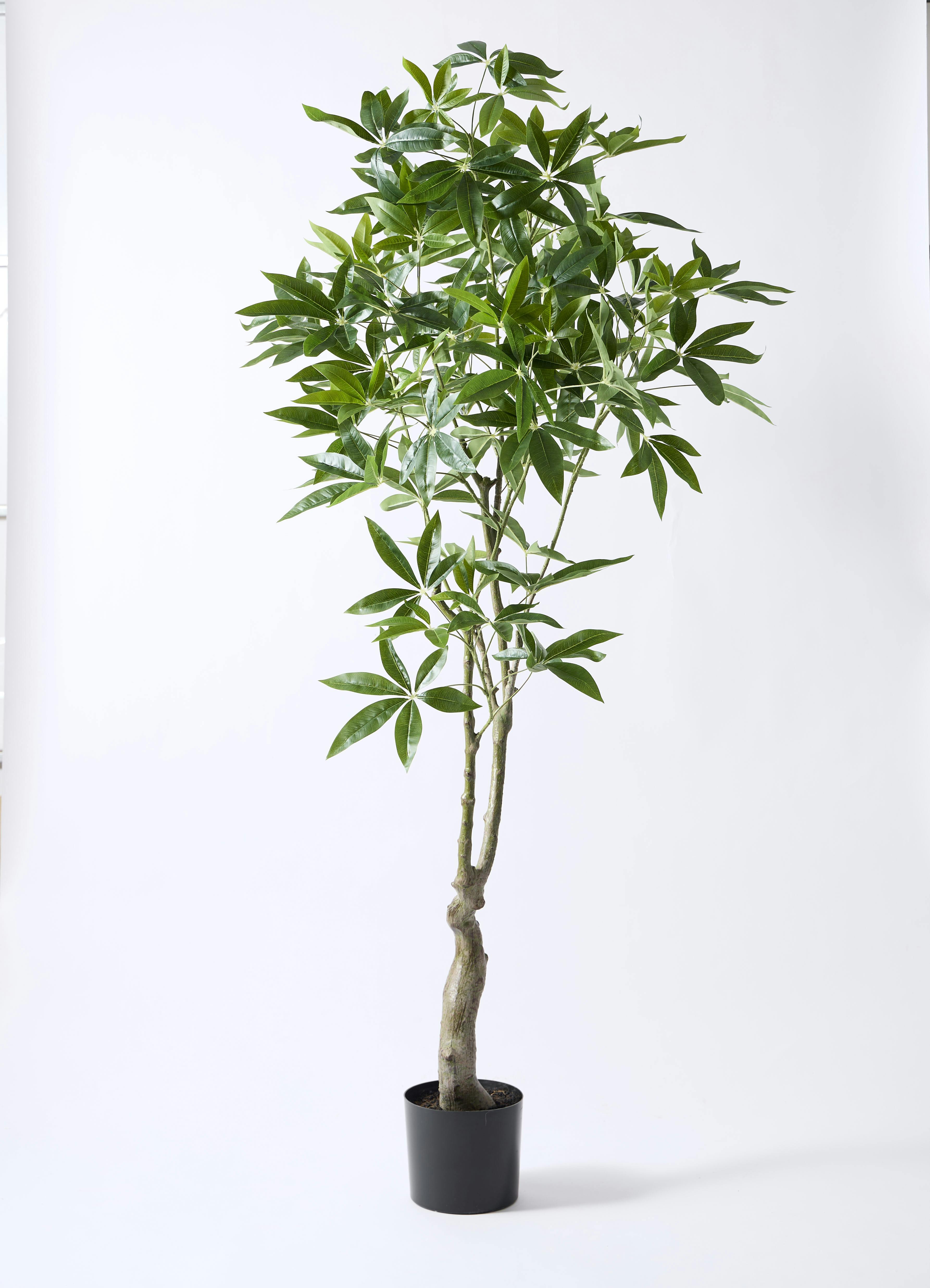 観葉植物【フェイクグリーン】パキラ 180cm ウッドプランター 付き