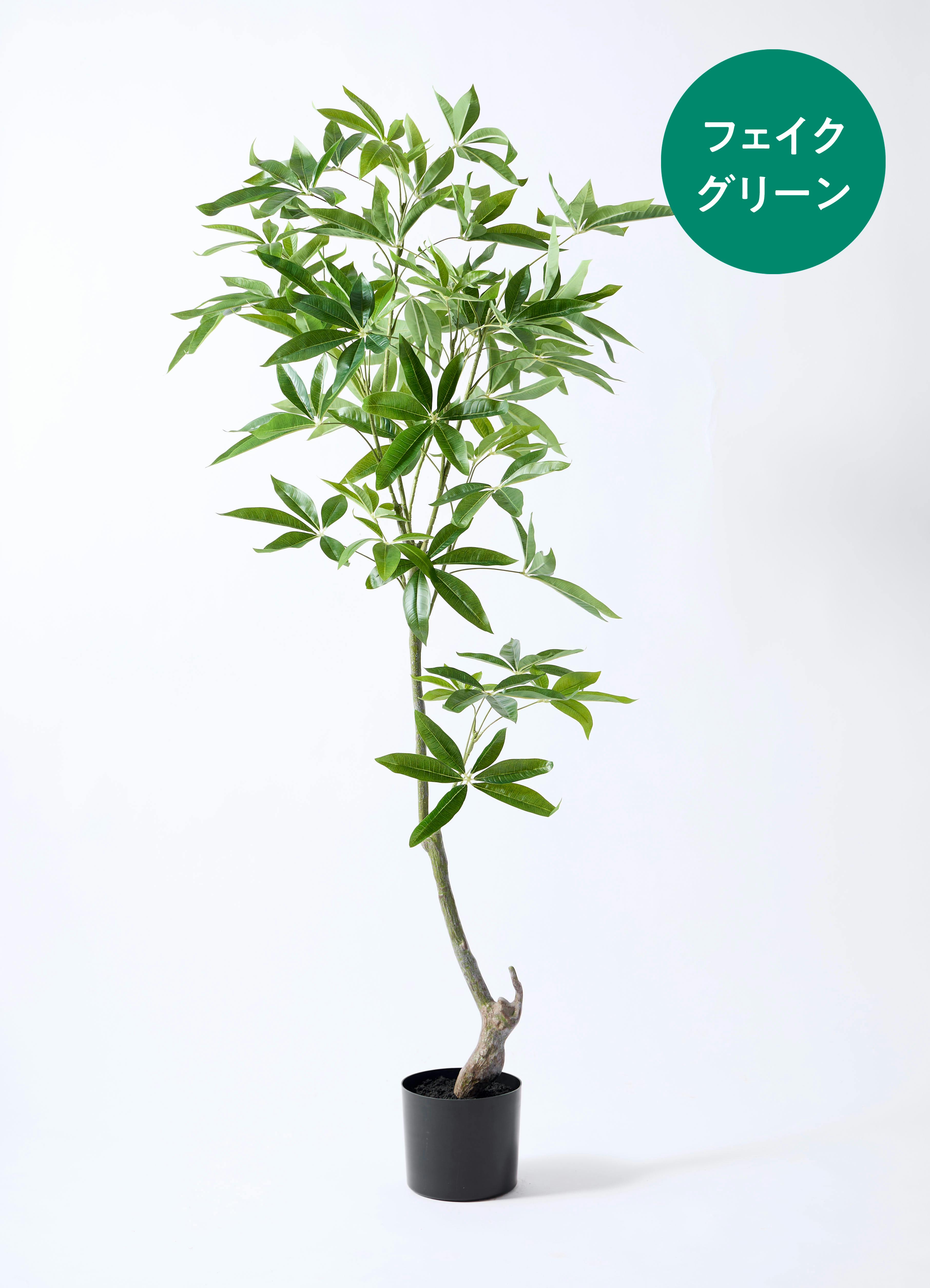 観葉植物【フェイクグリーン】パキラ 150cm ビトロ ウーヌム コッパー
