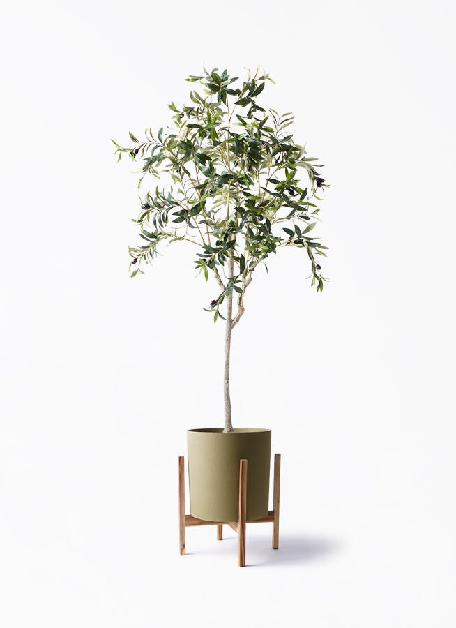 観葉植物【フェイクグリーン】オリーブ 実付き 156cm ホルスト